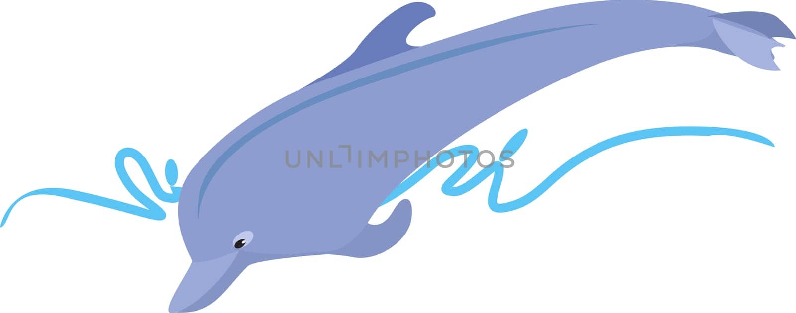 dolphin