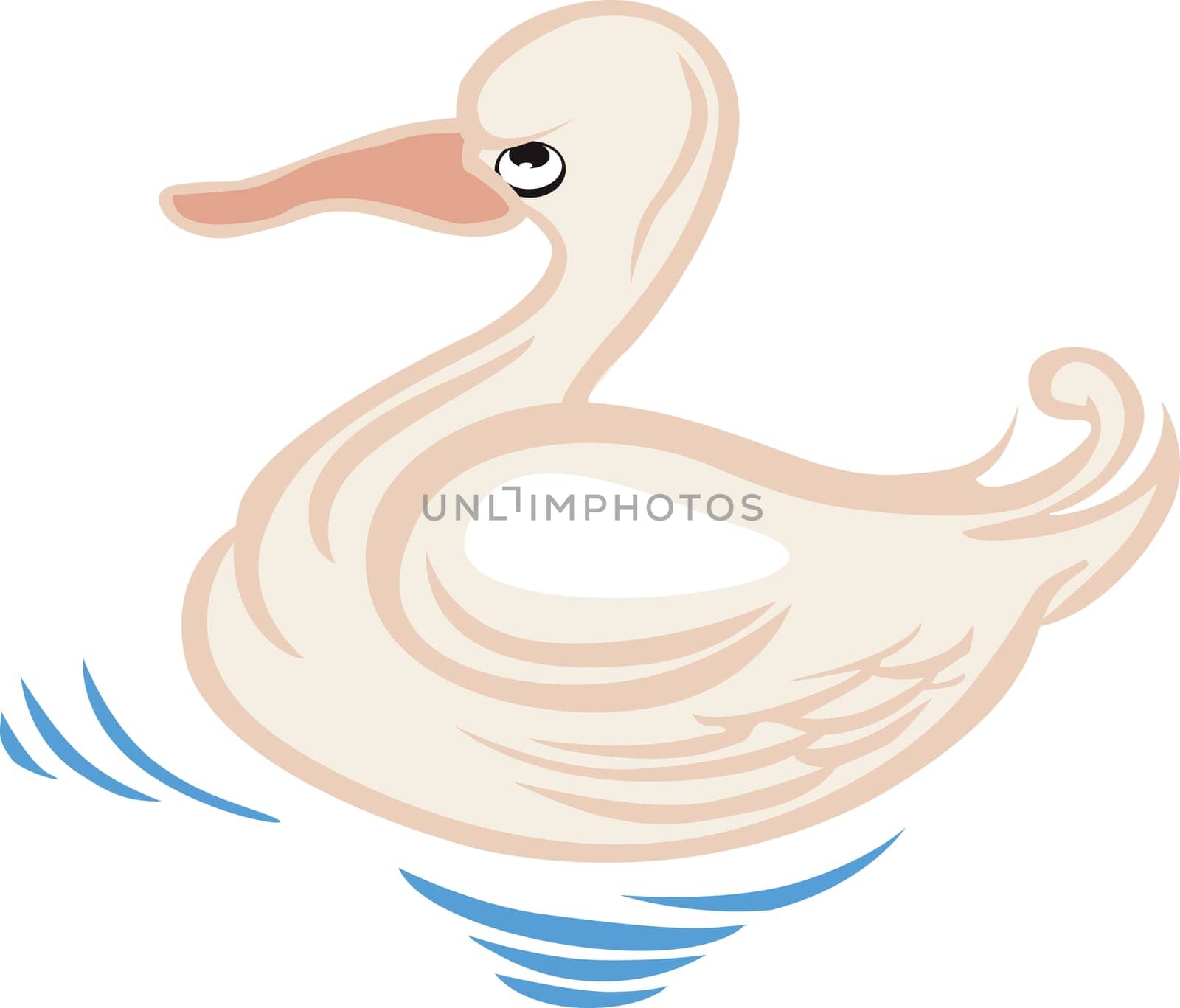 duck