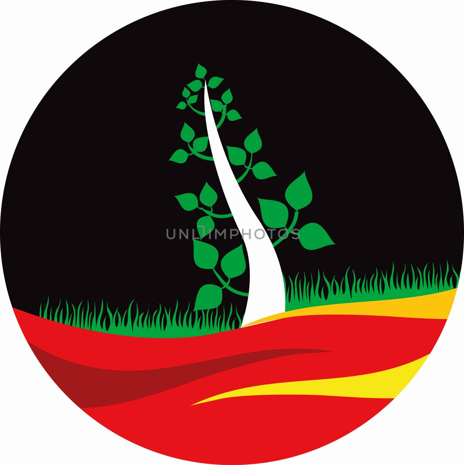 Plant