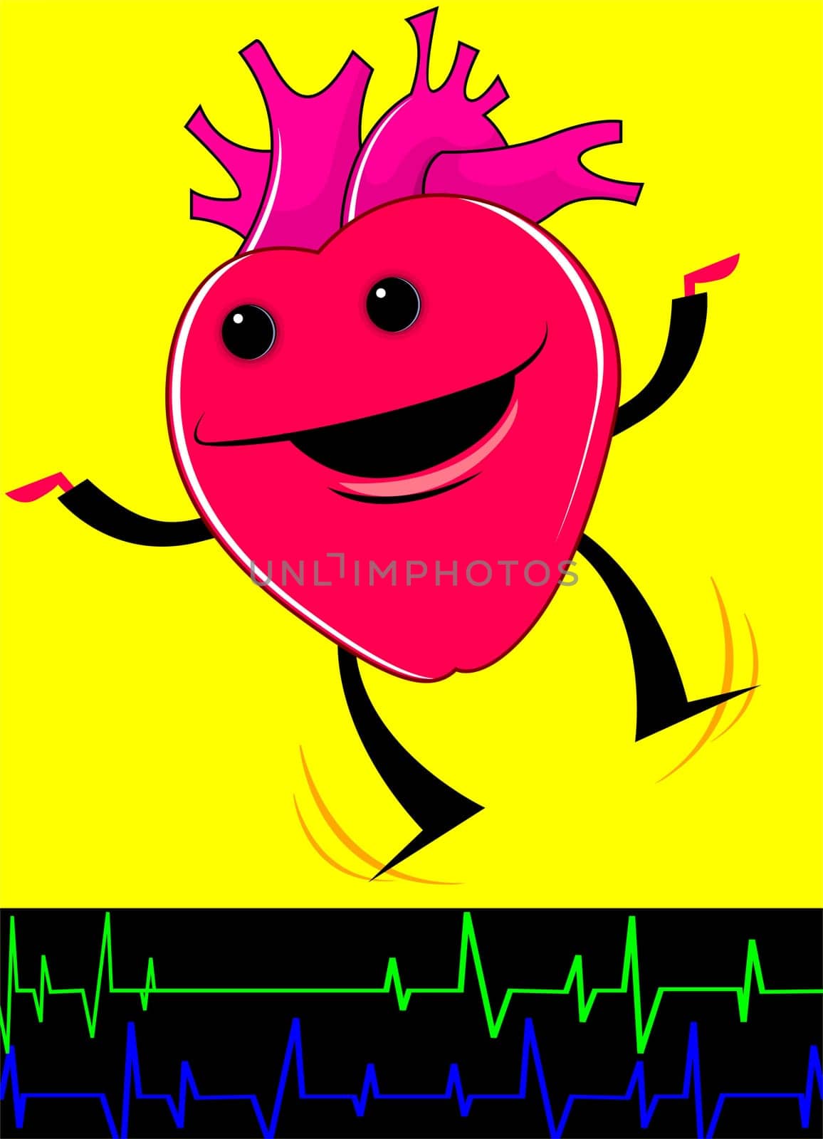 Heart