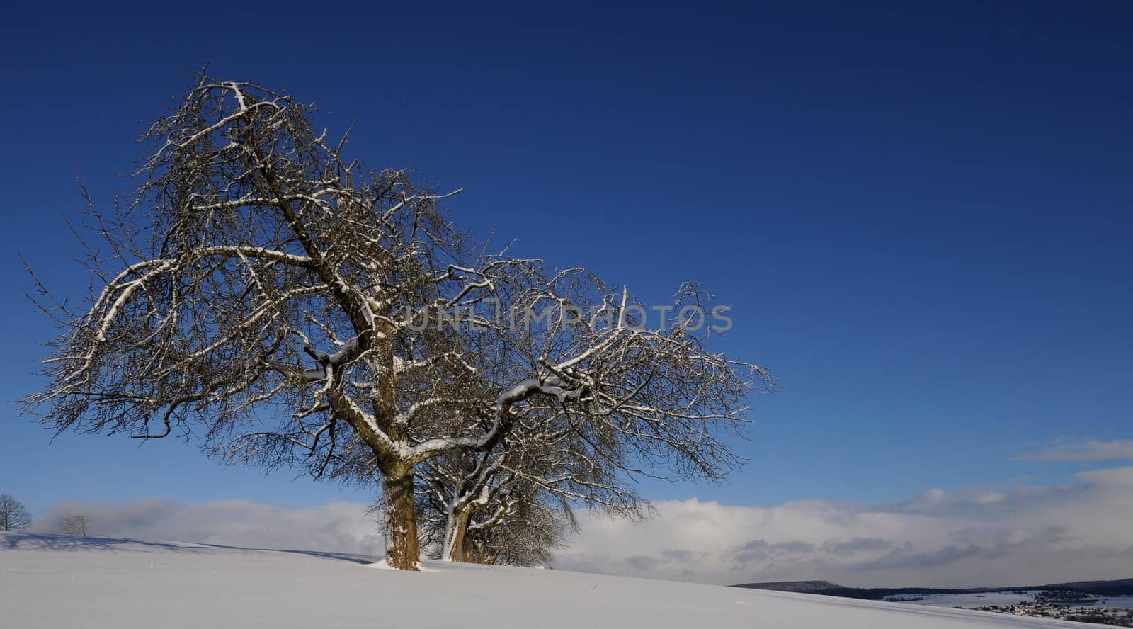 Winter