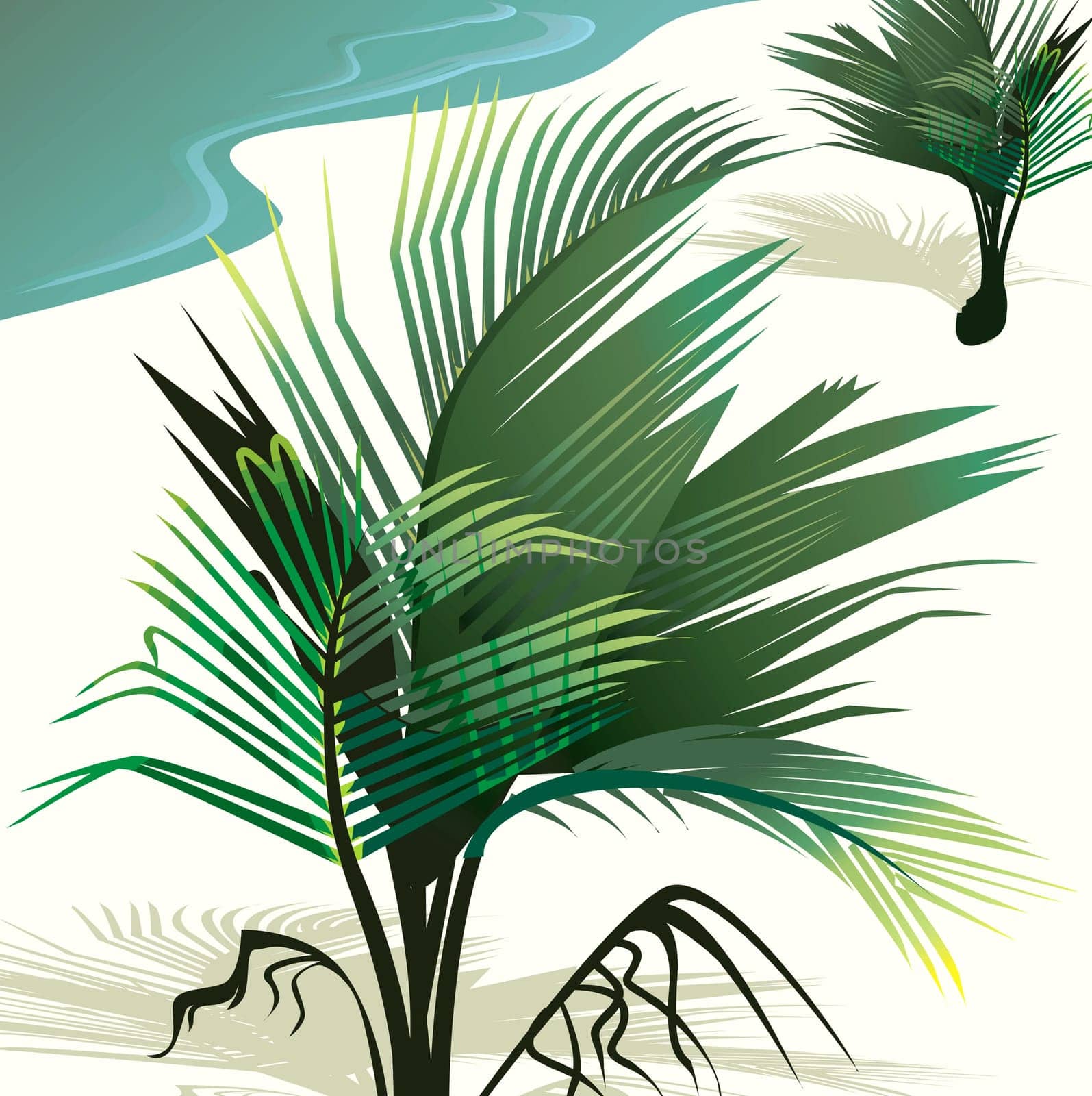 Coconut