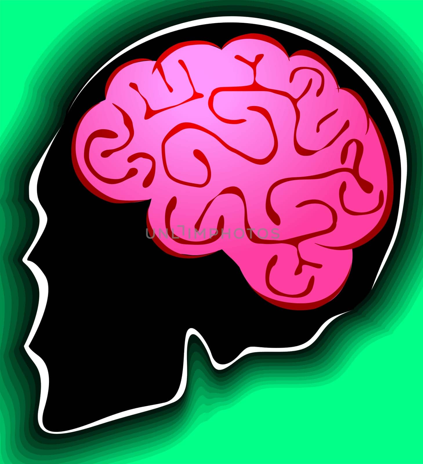 brain