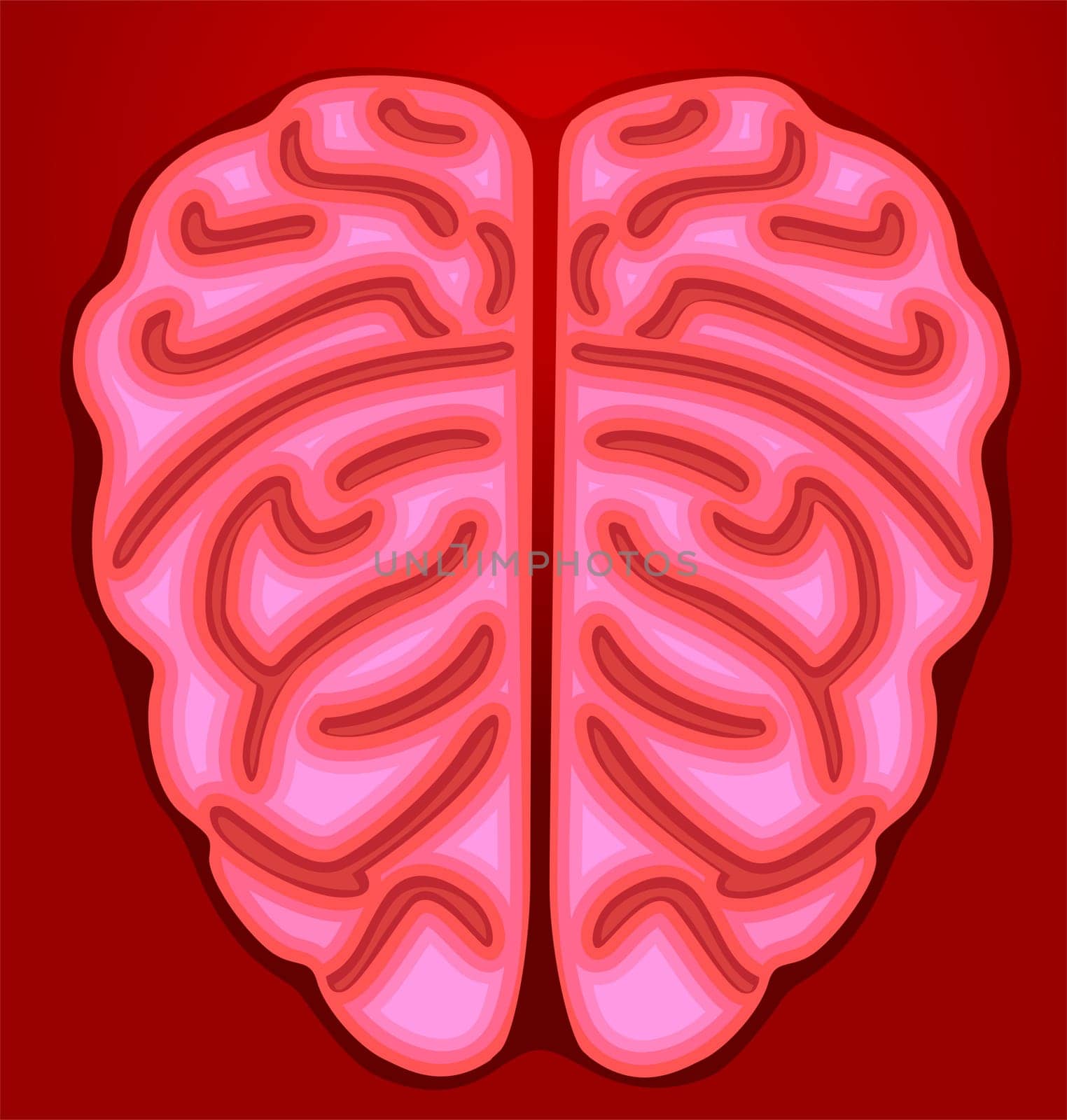 brain
