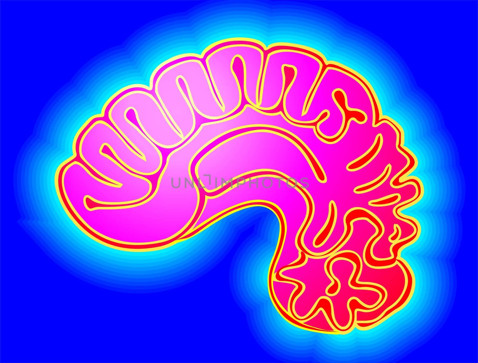 brain