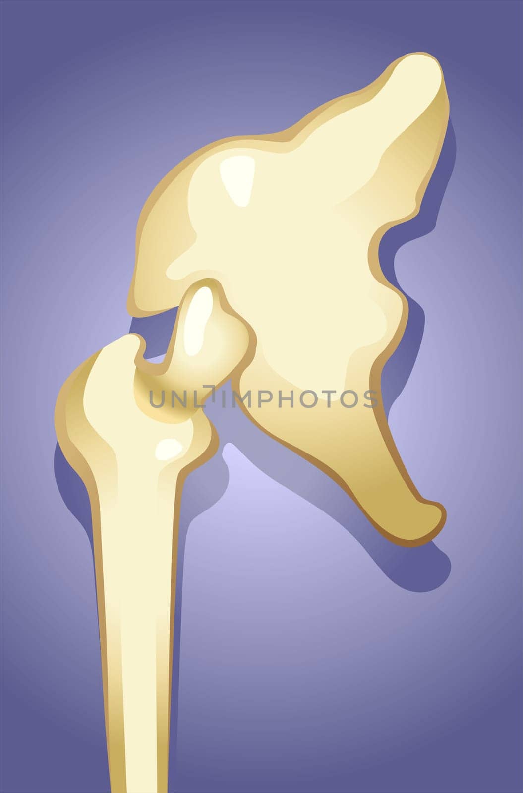 bone