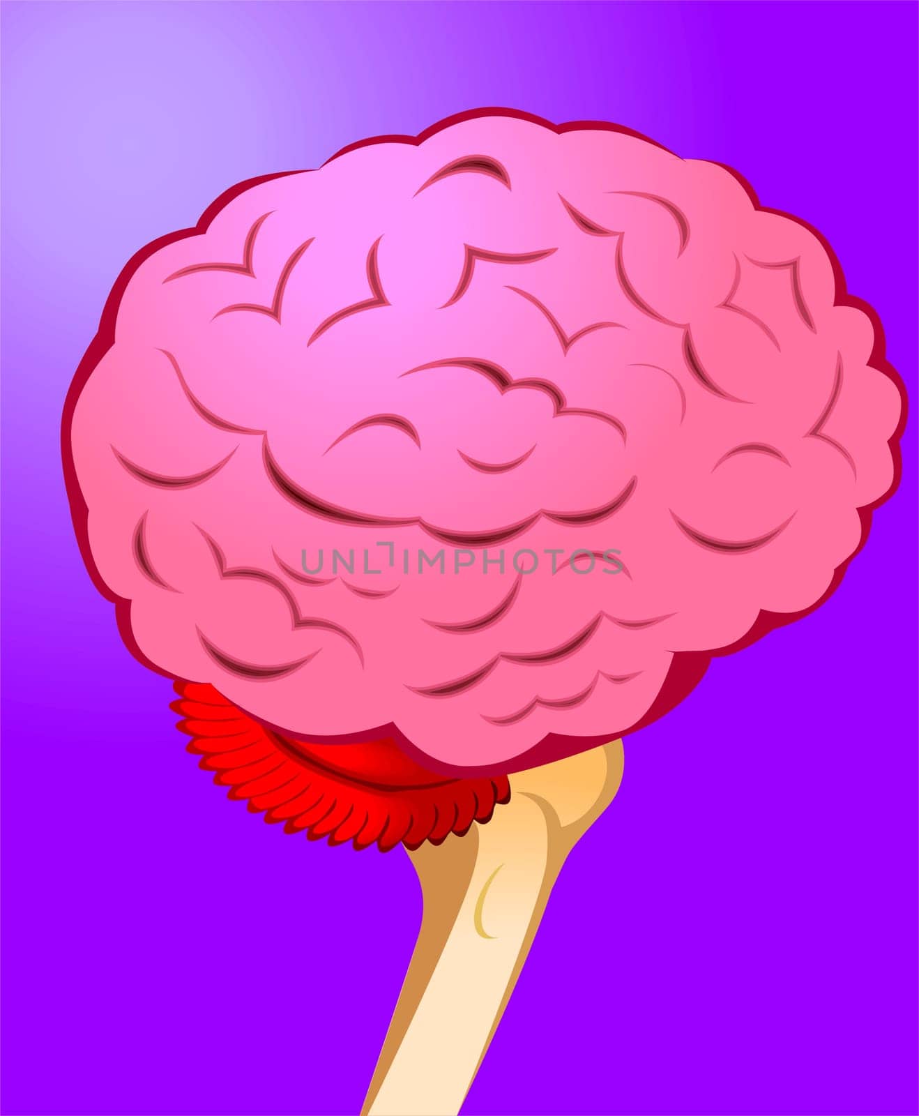 brain
