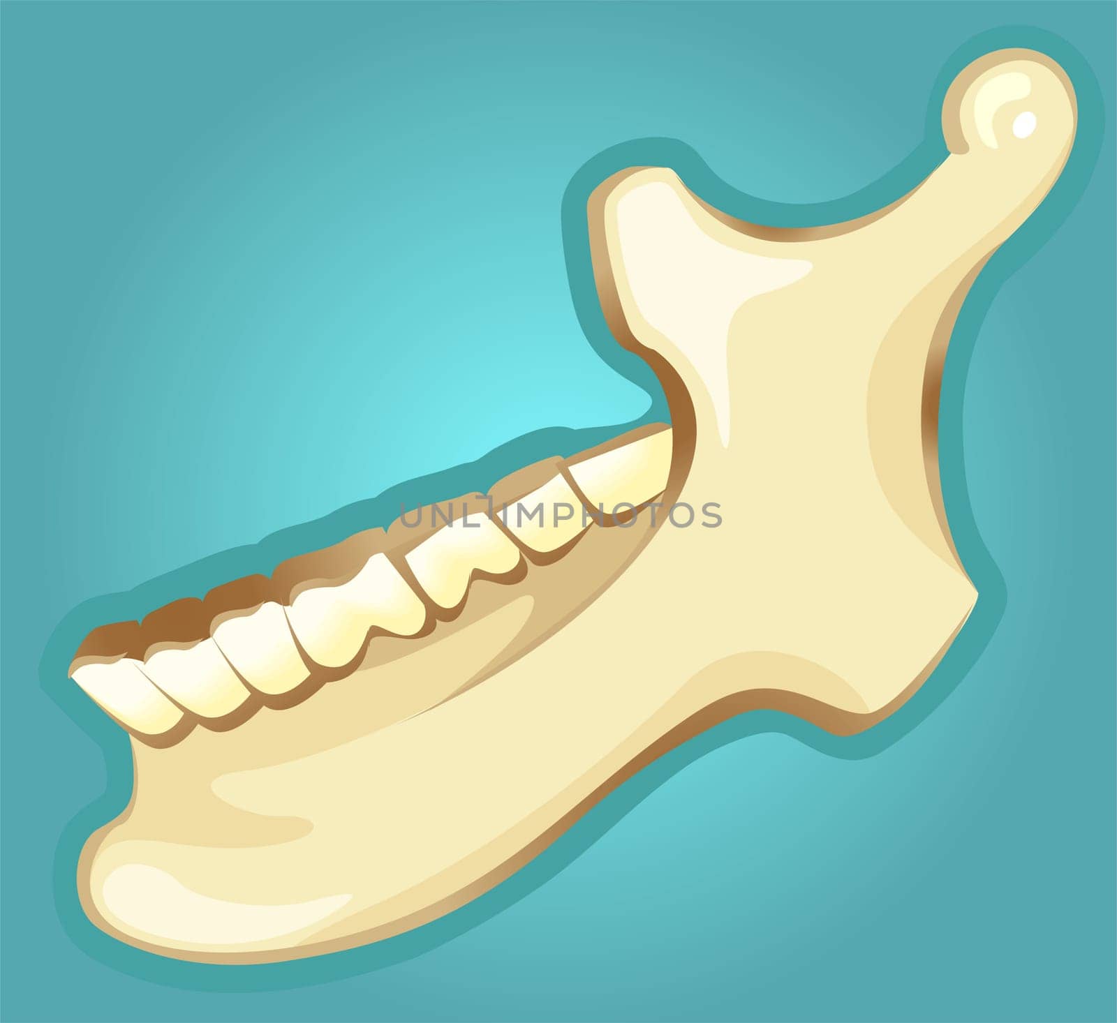 Jaws