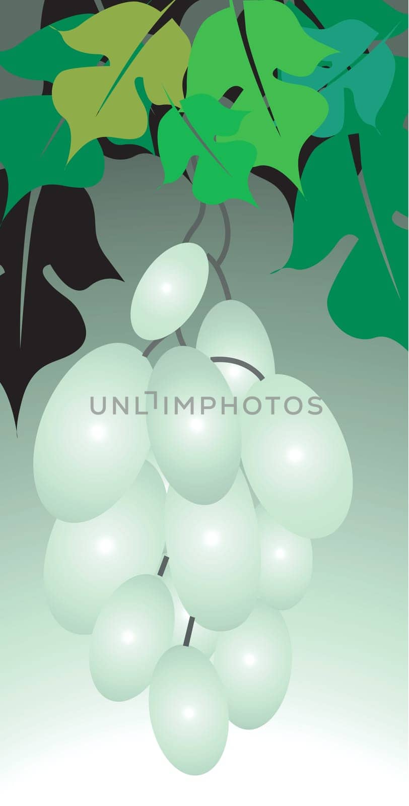grapes