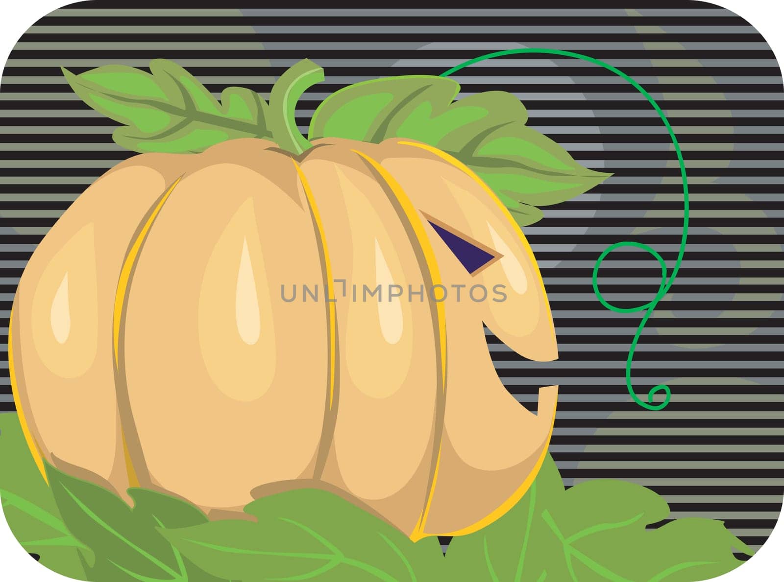 Pumpkin