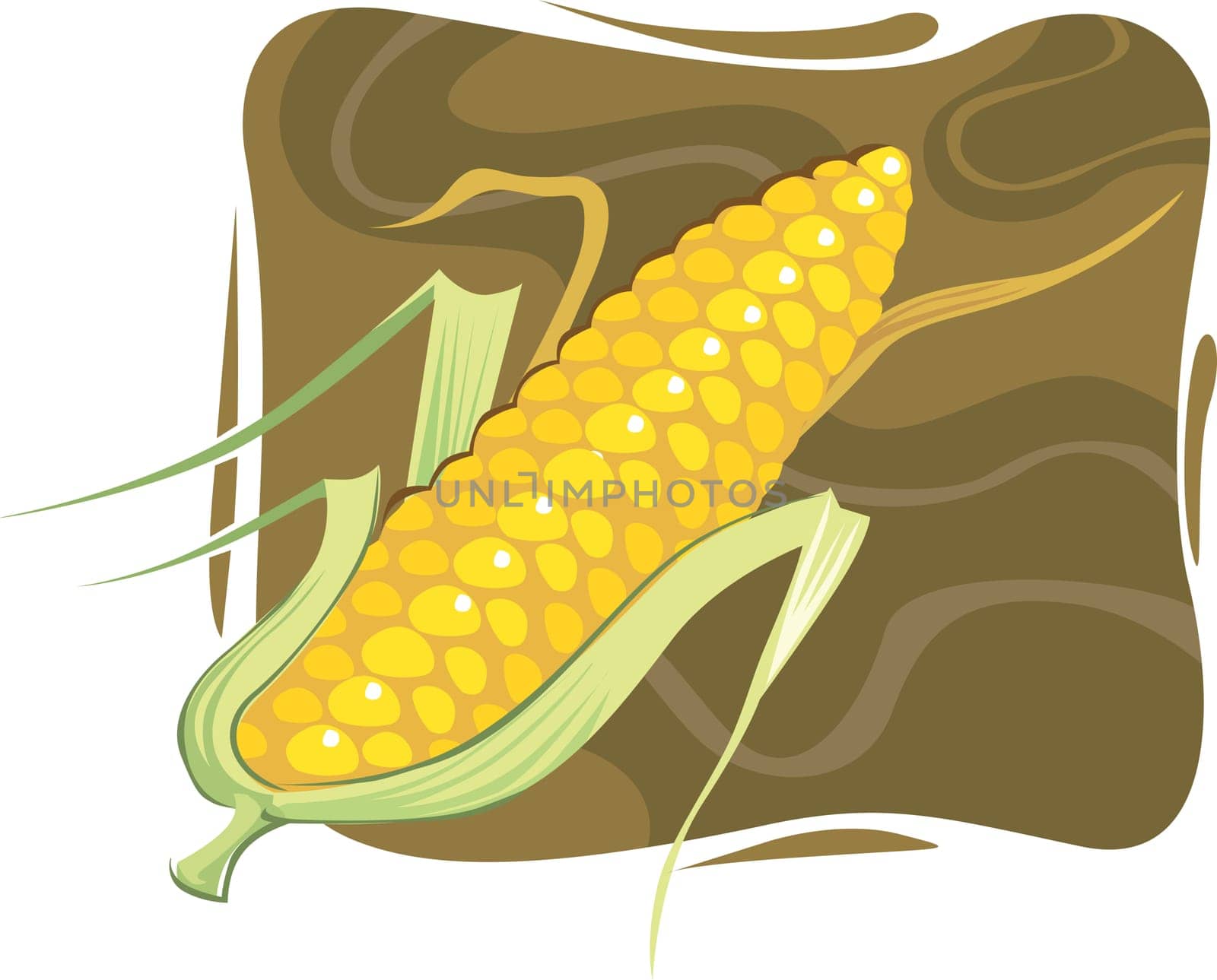 Maize