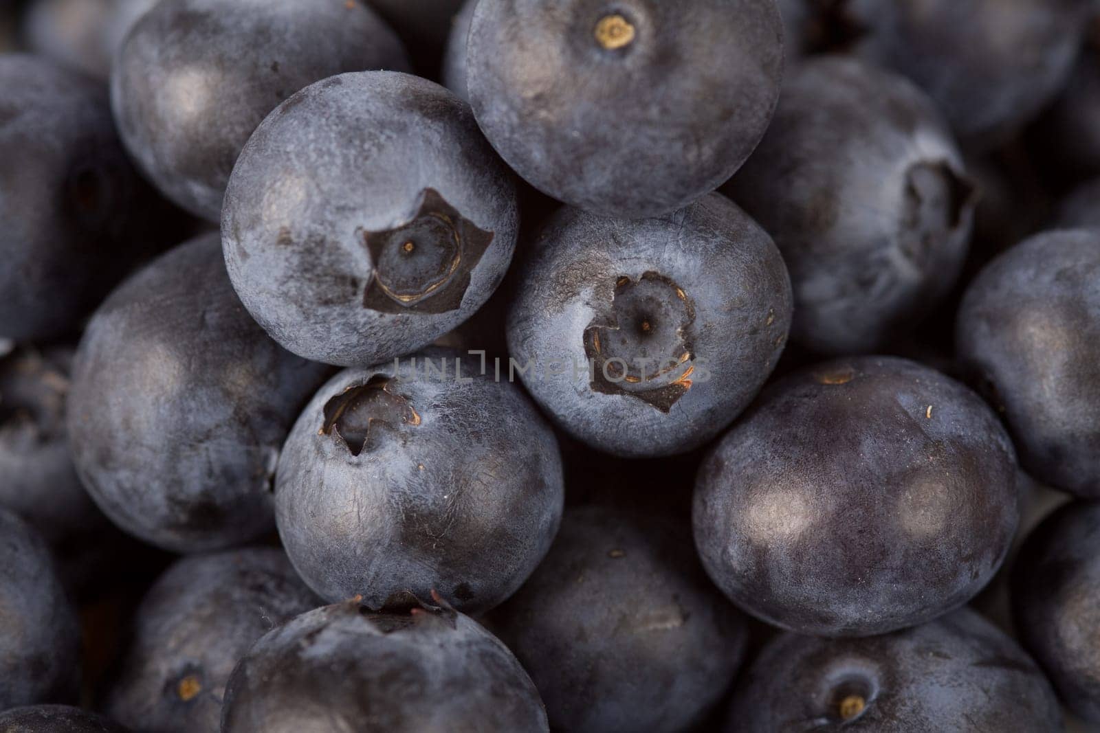 Blueberries close up