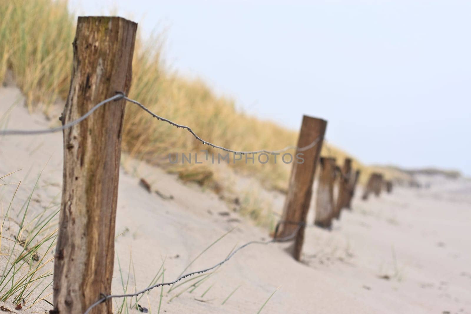 Dune landscape in winter