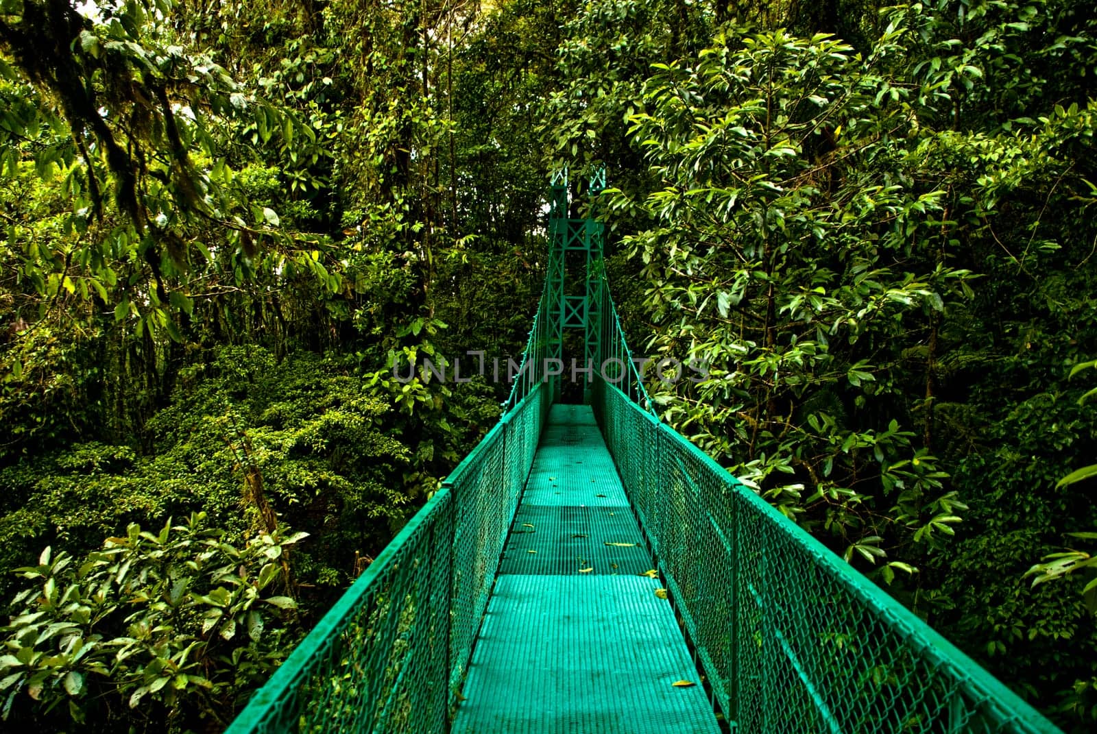 Hanging bridge