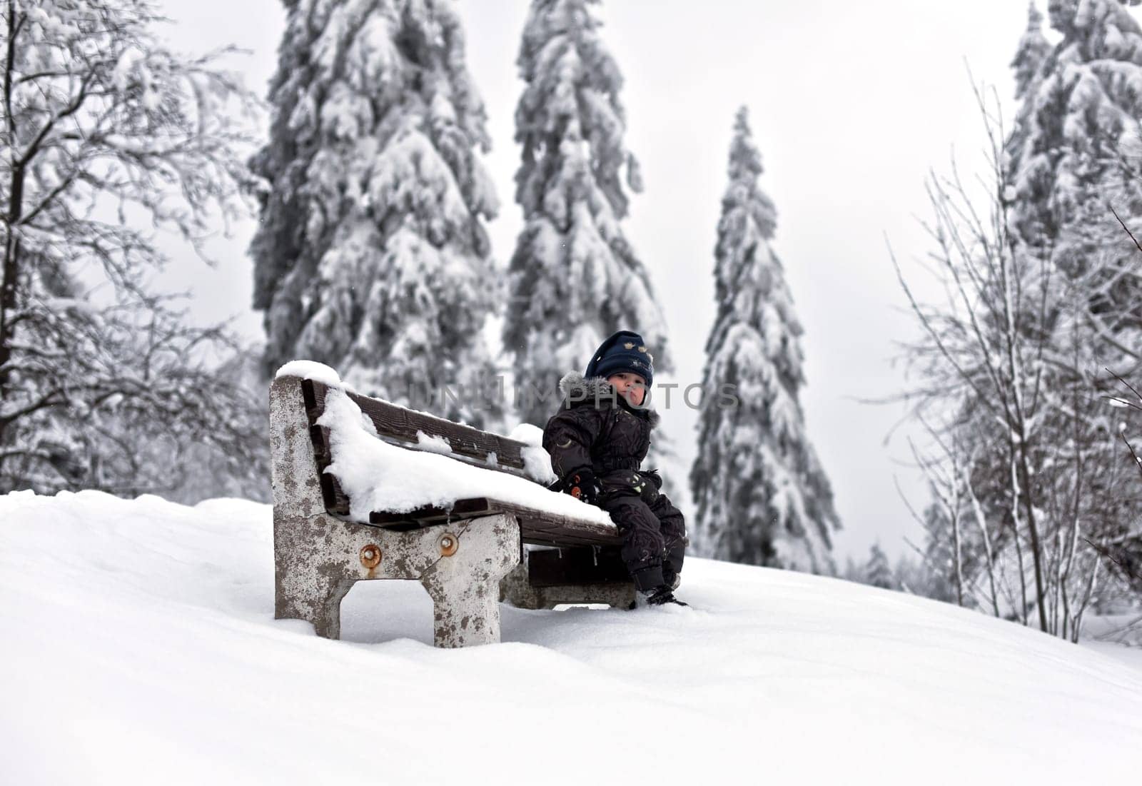 in the snow.....