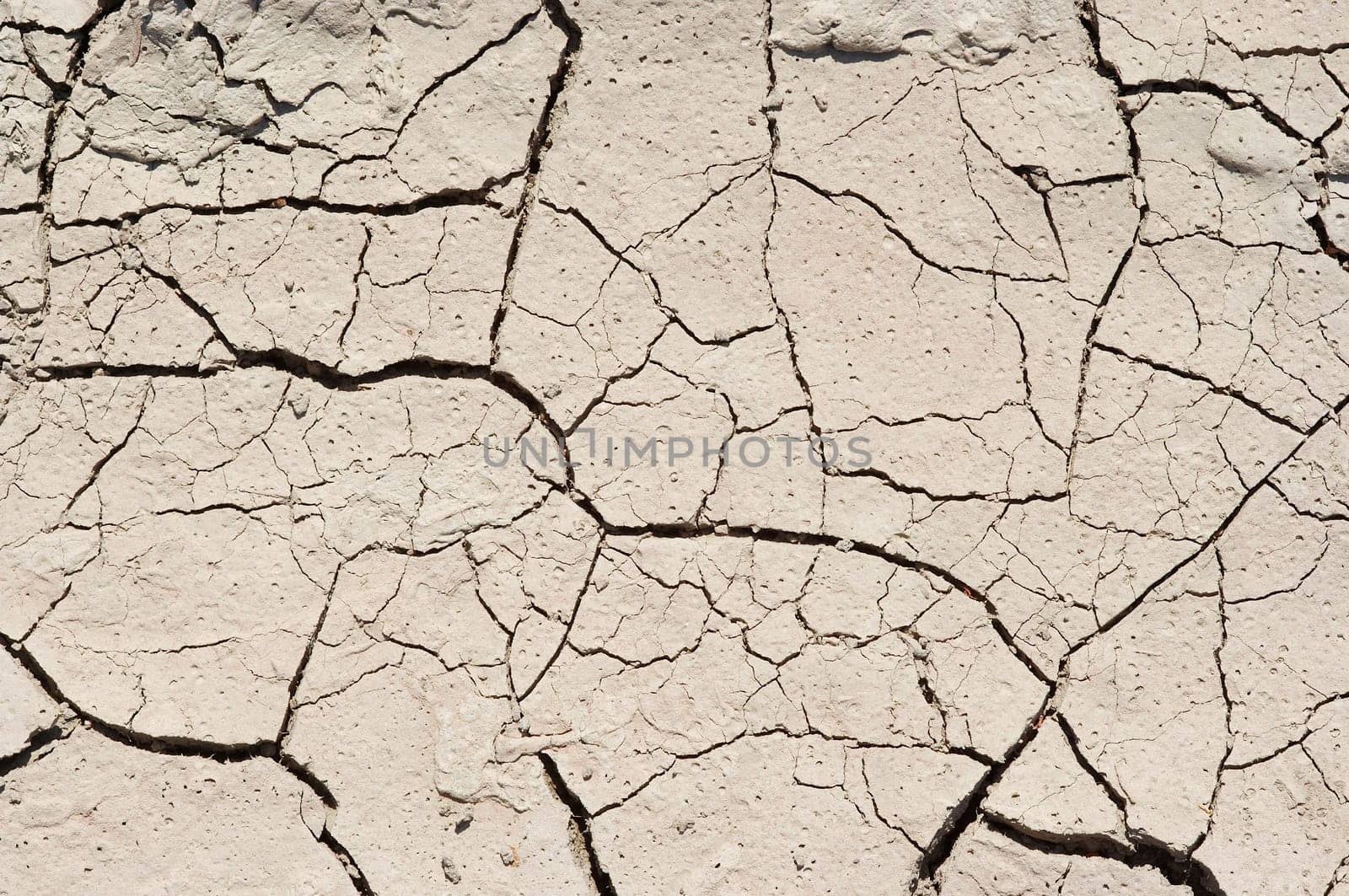 dried ground