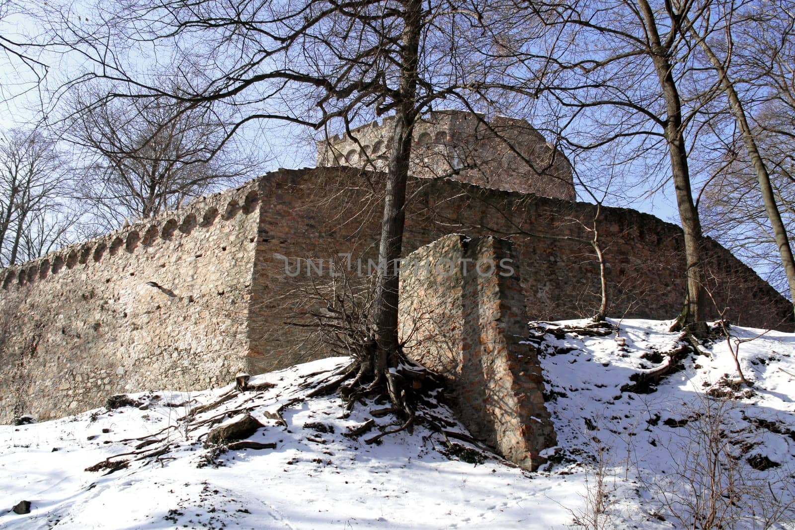 Auerbach Castle