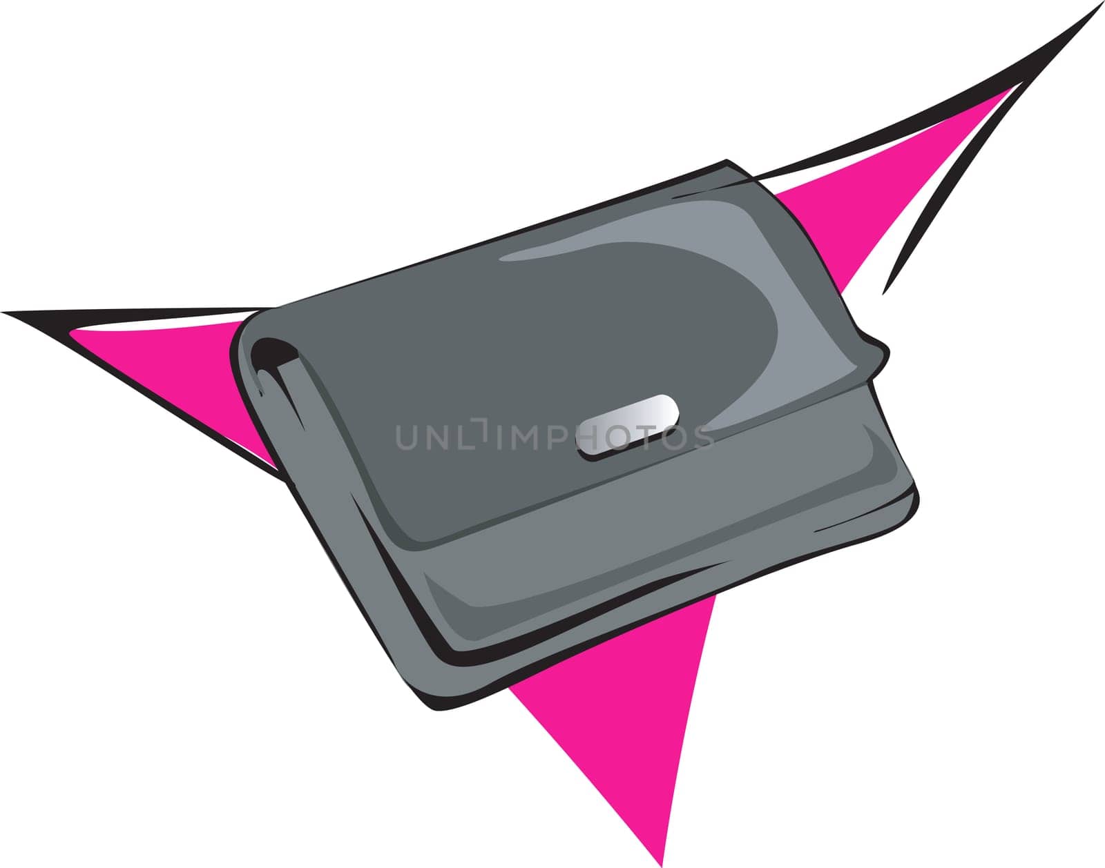Lady bag