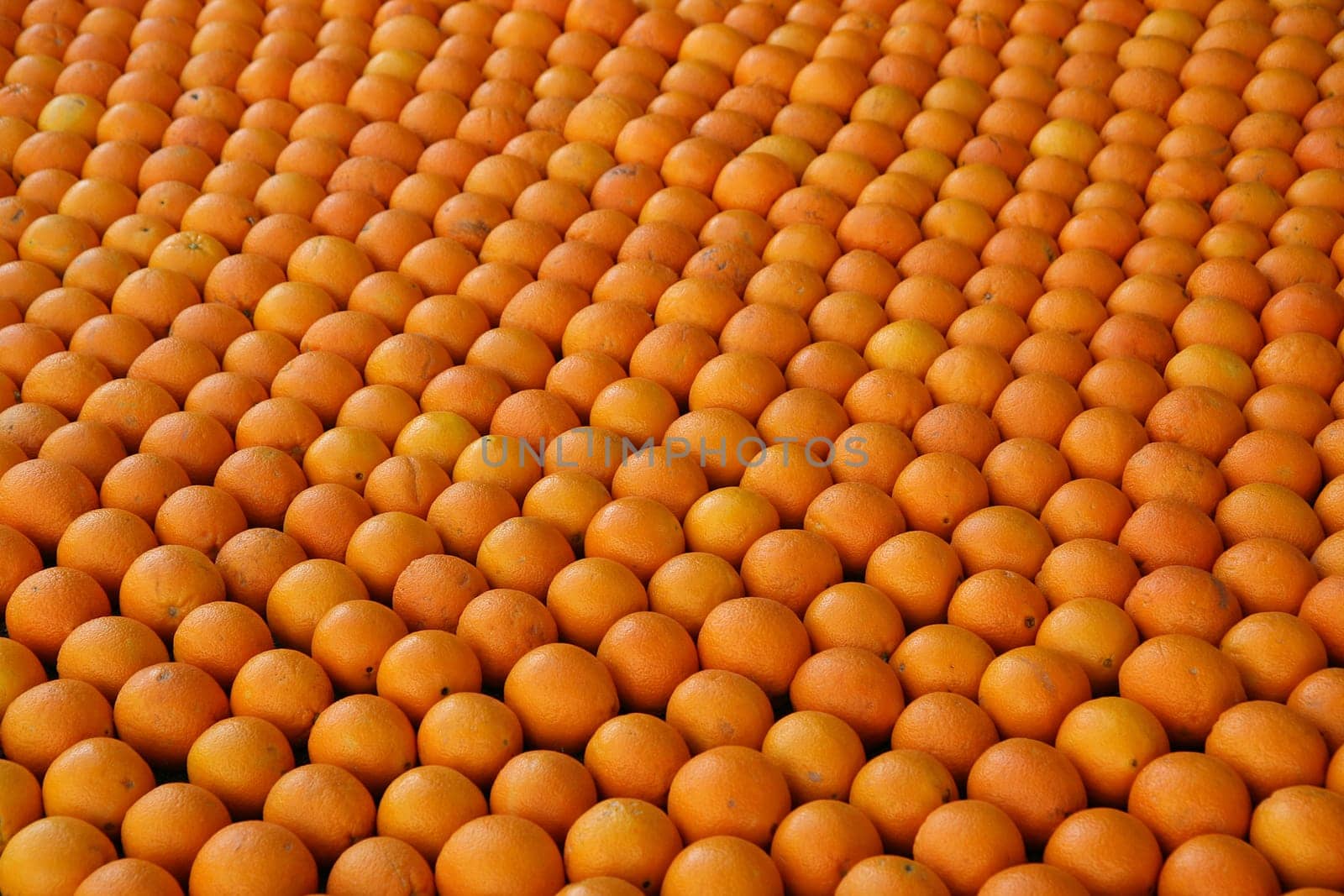 Oranges