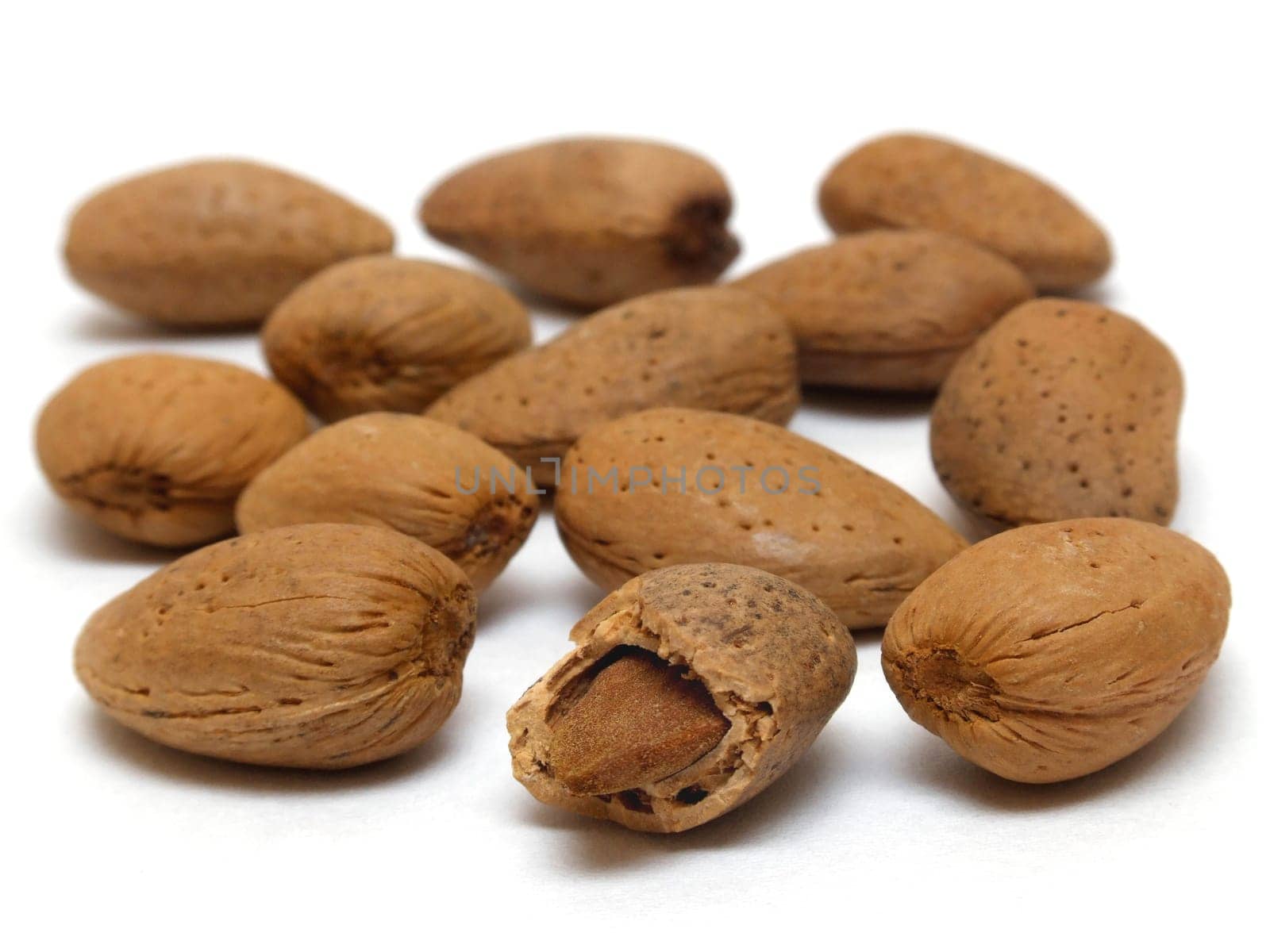 Almonds (prunus fruticosa)