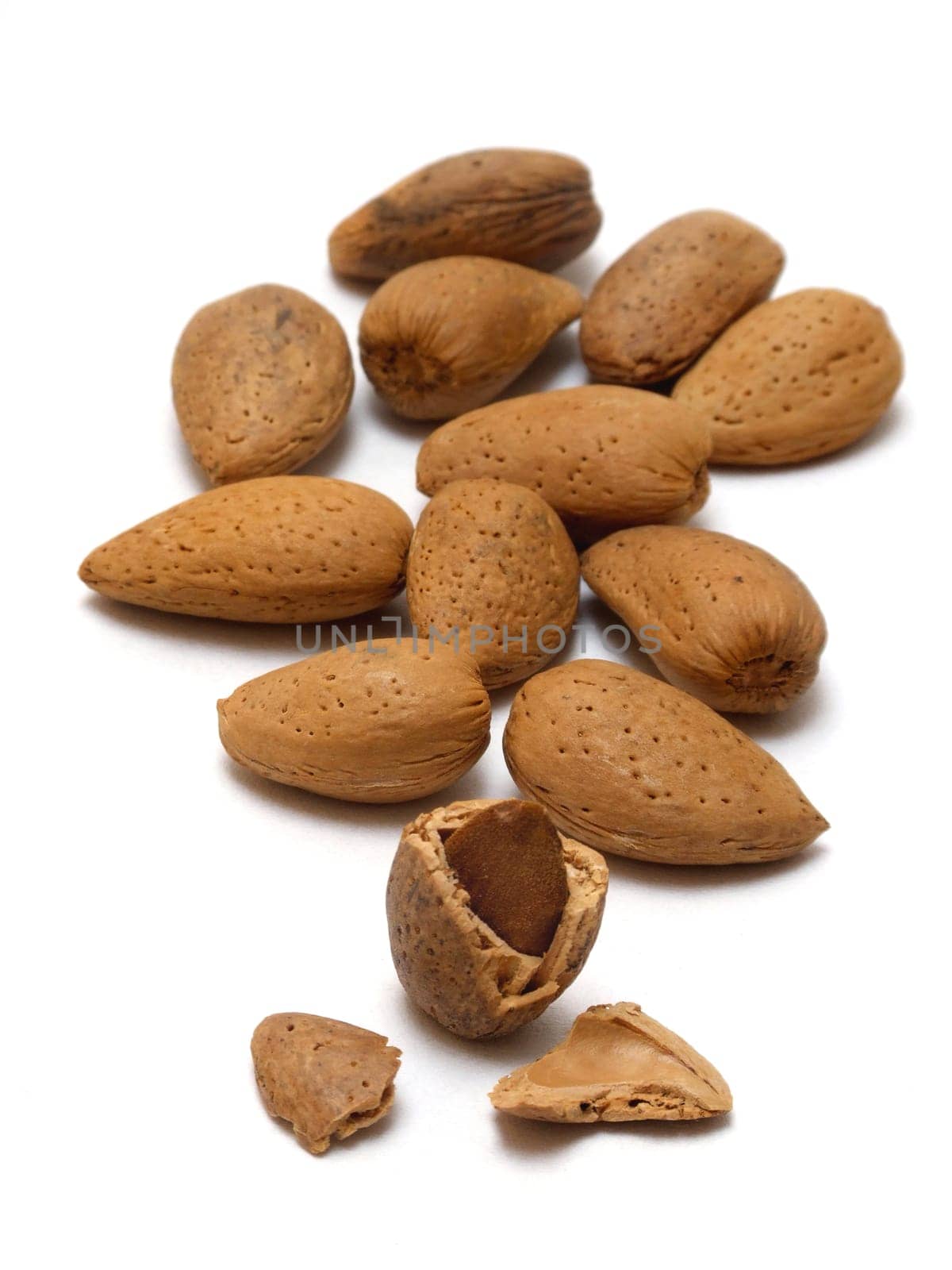 Almonds (prunus fruticosa)