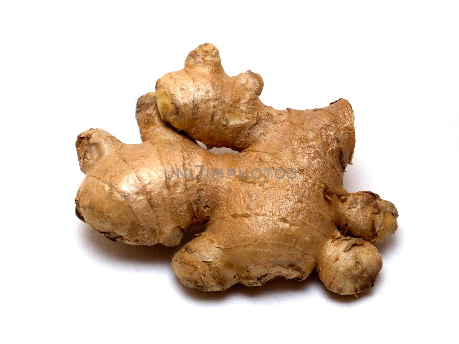 Ginger