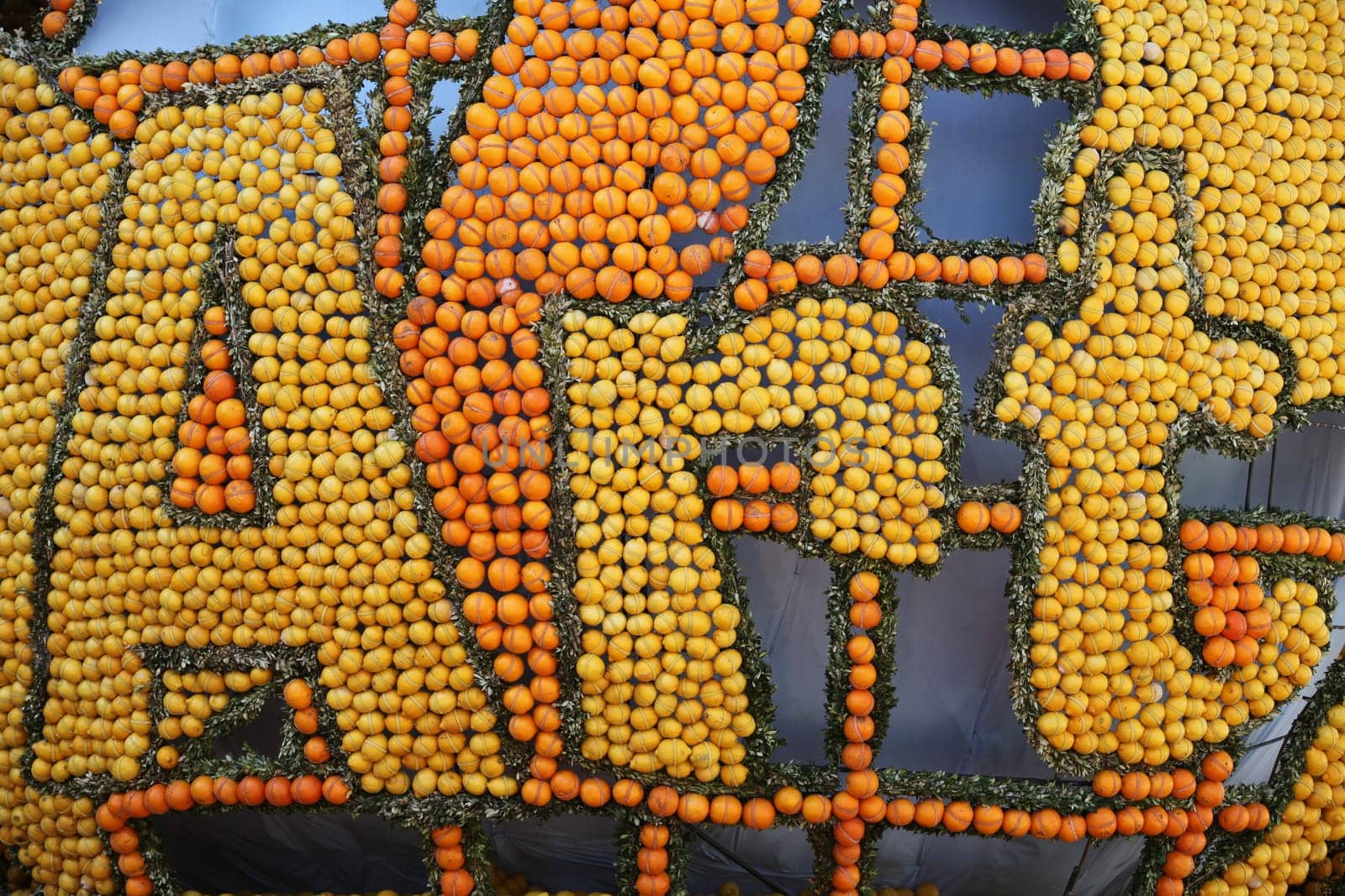 Lemons and oranges style