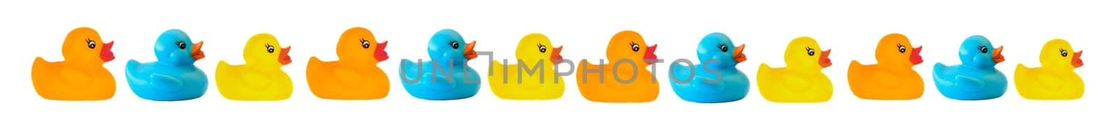Many ducks of differents colors