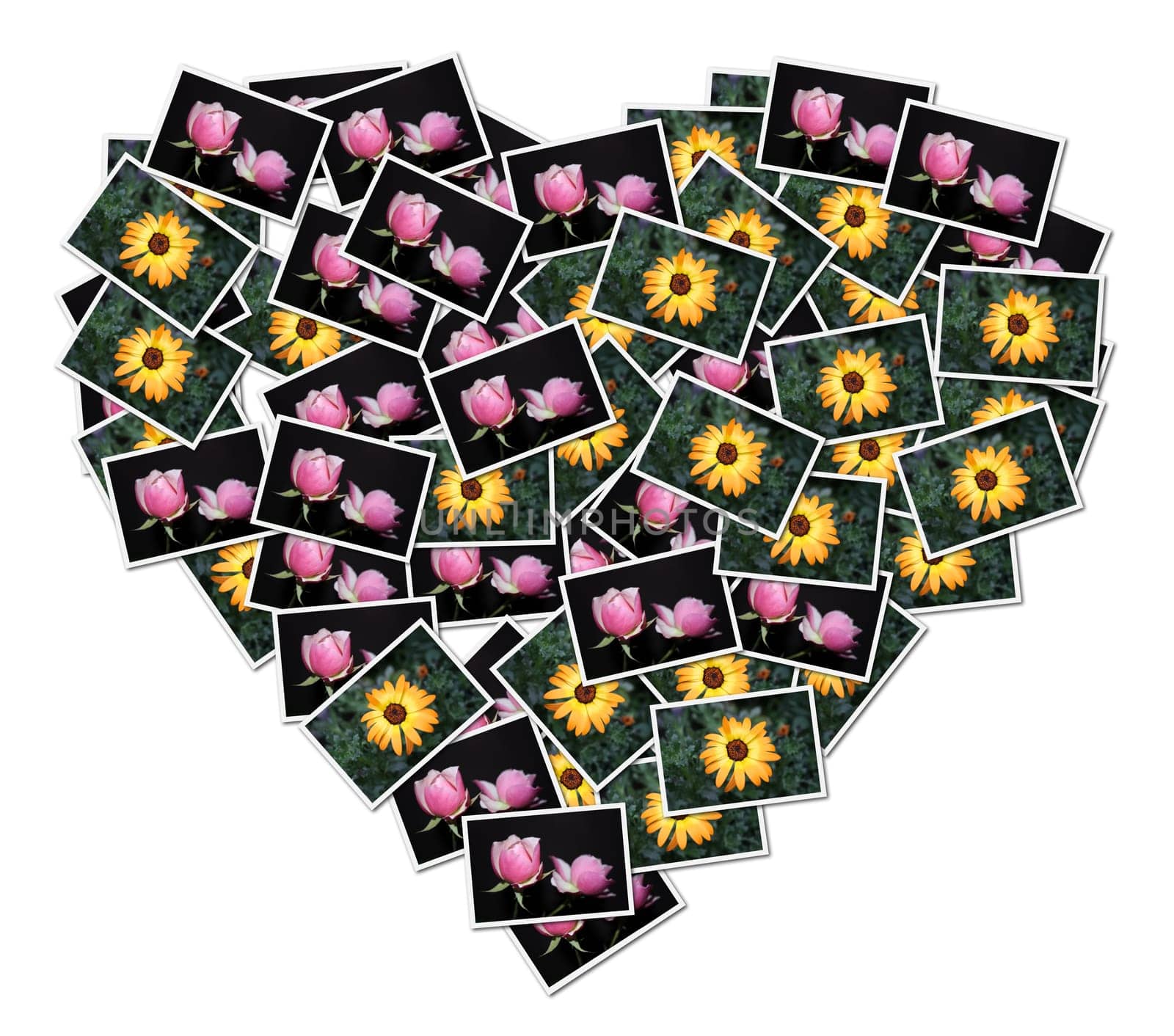 Heart-shaped collage