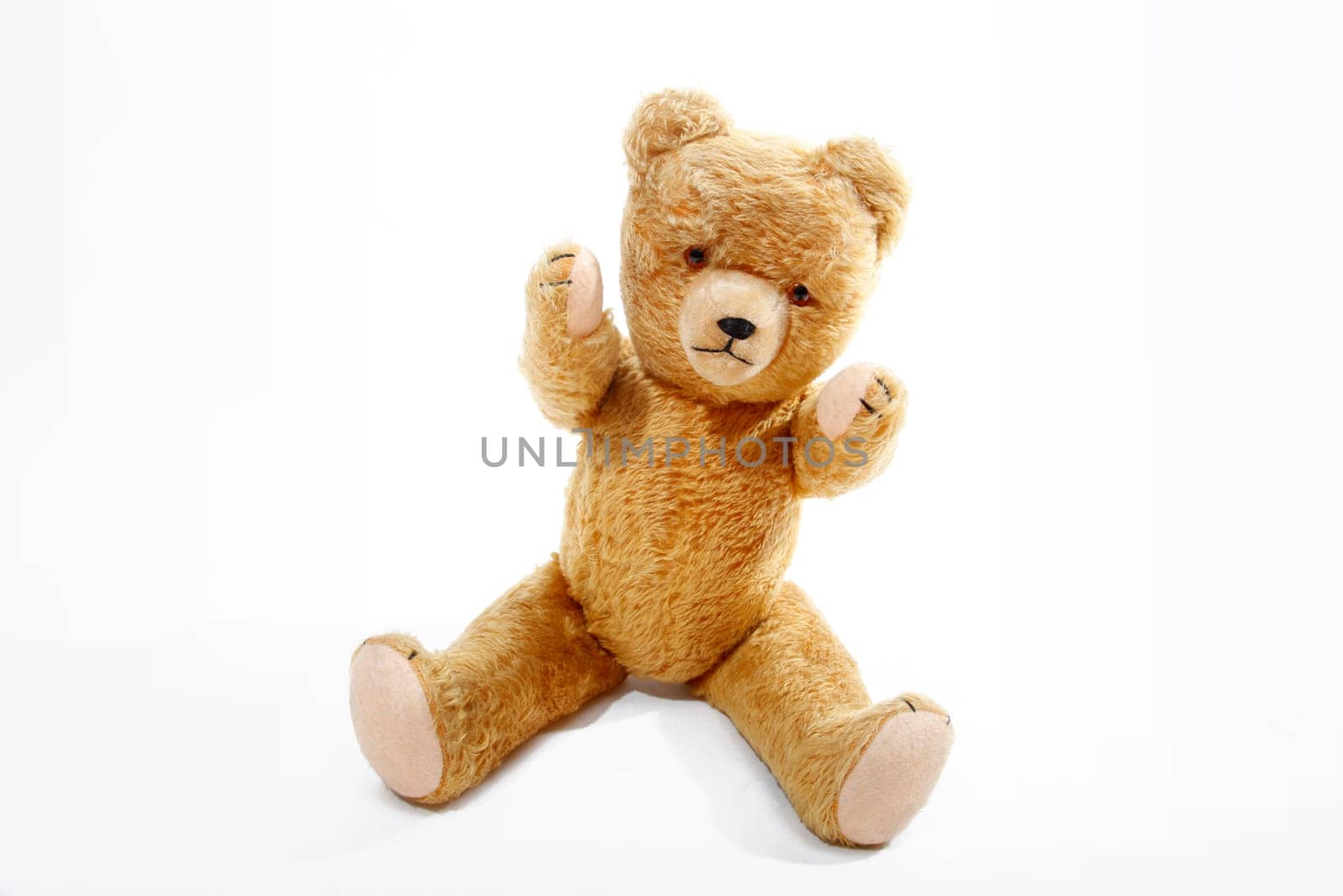 Teddy