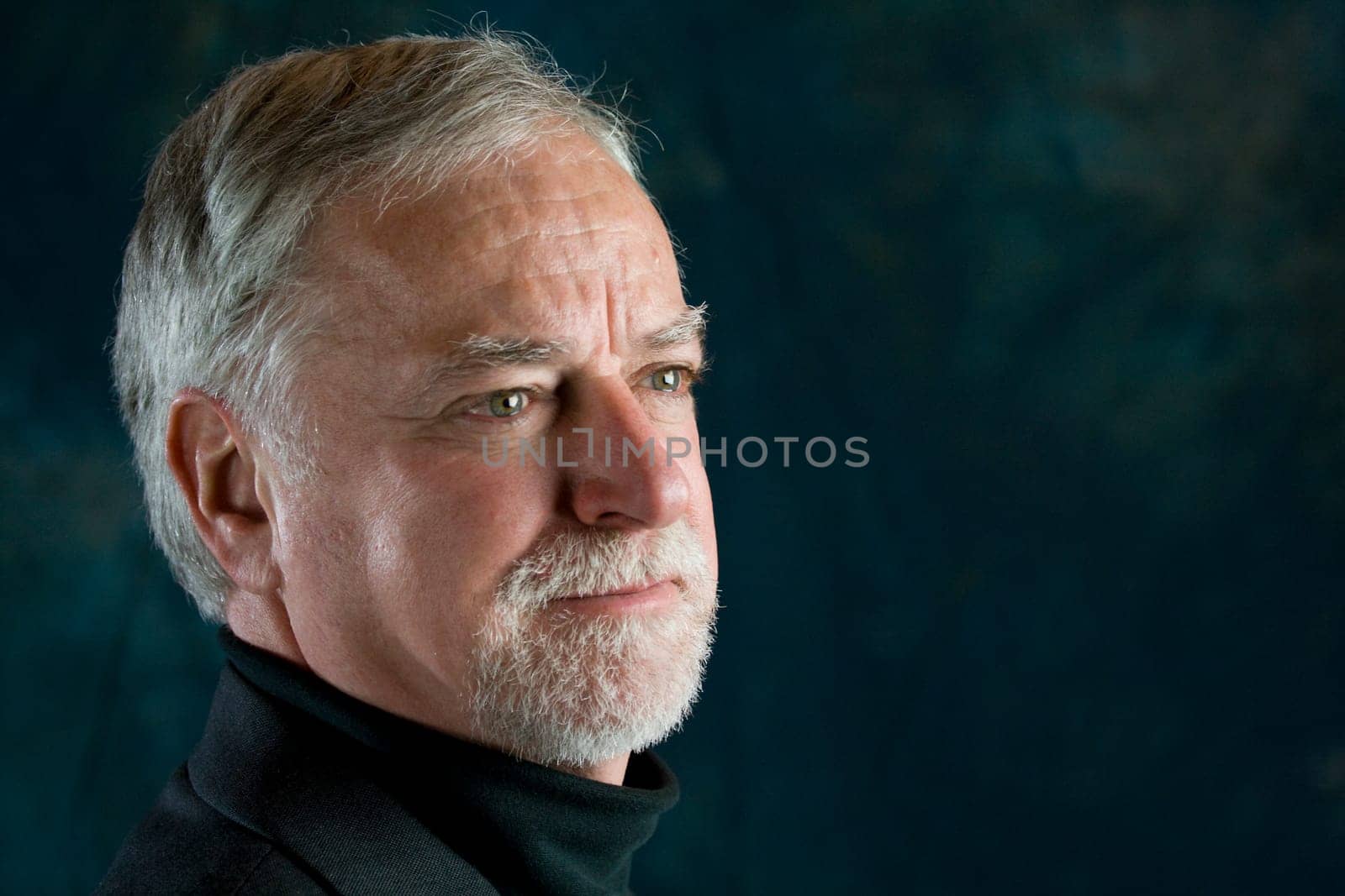 Portrait of a mature man