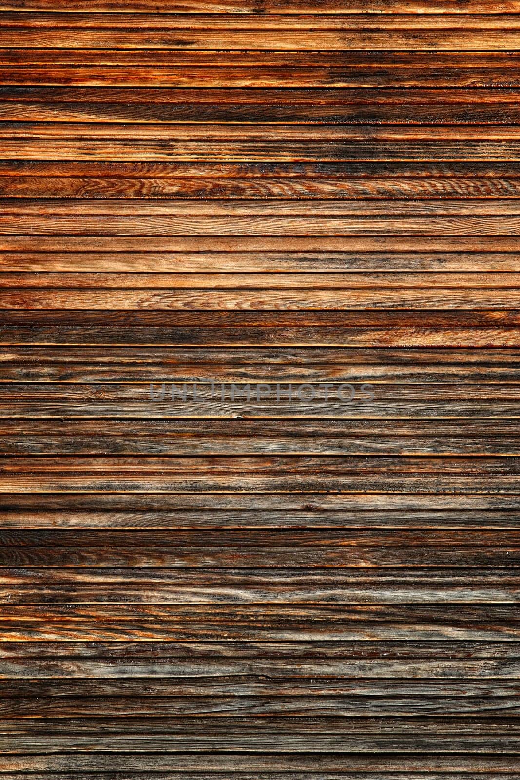 wood old texture