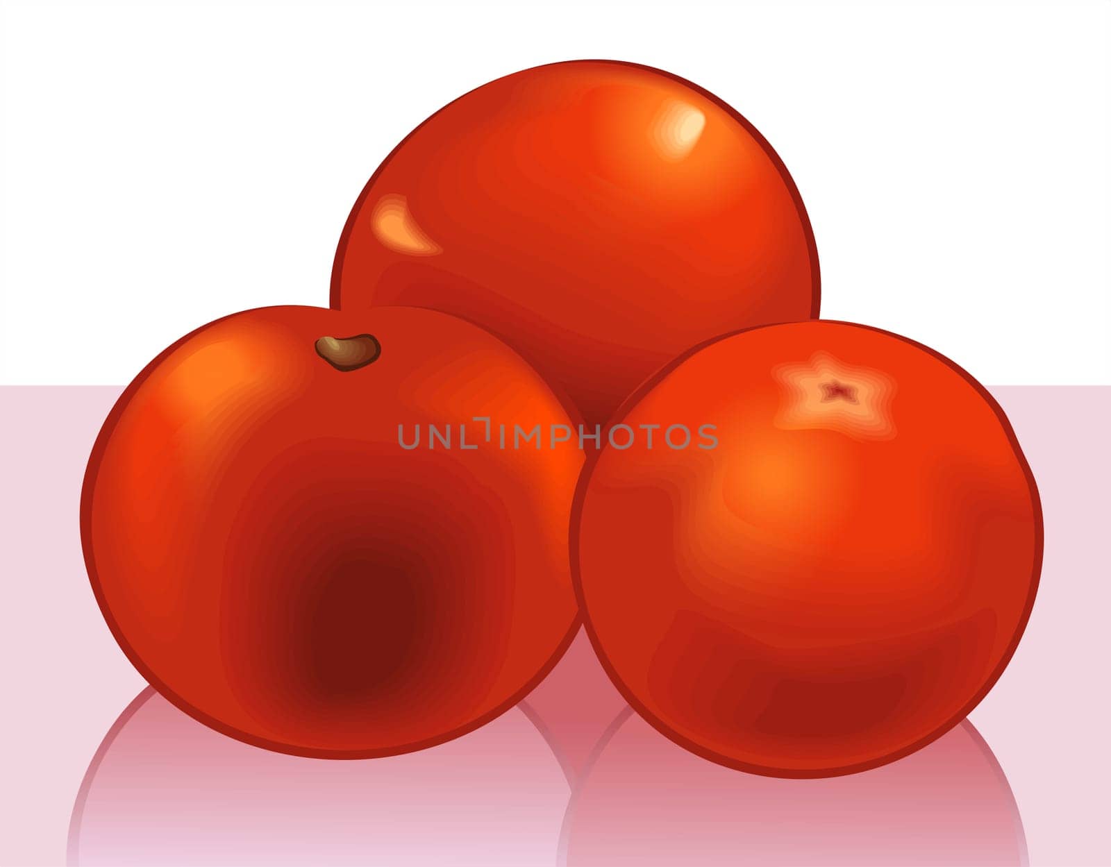 tomato