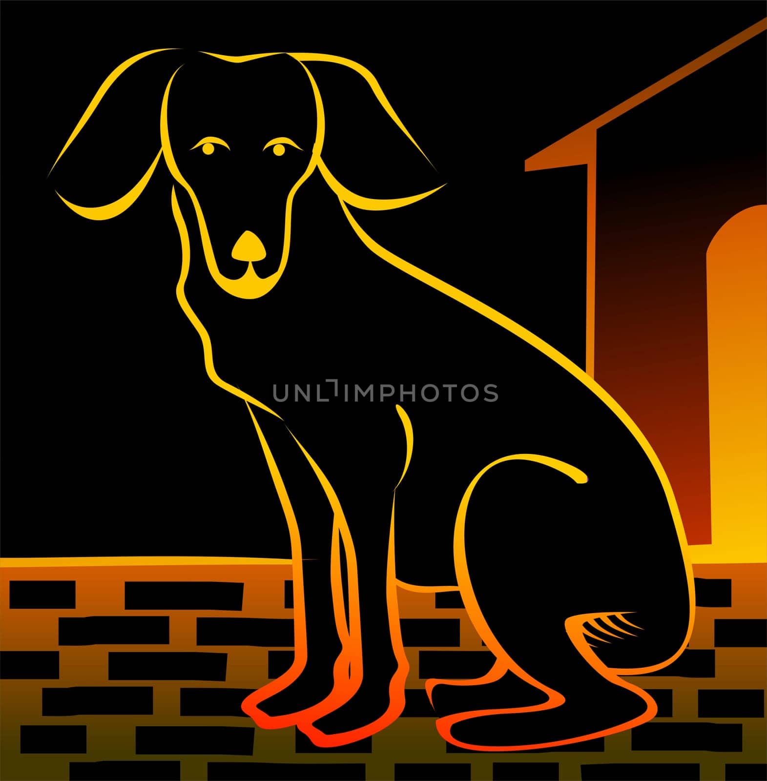 dog