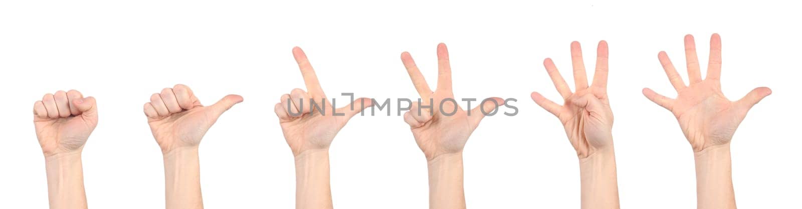 Hands