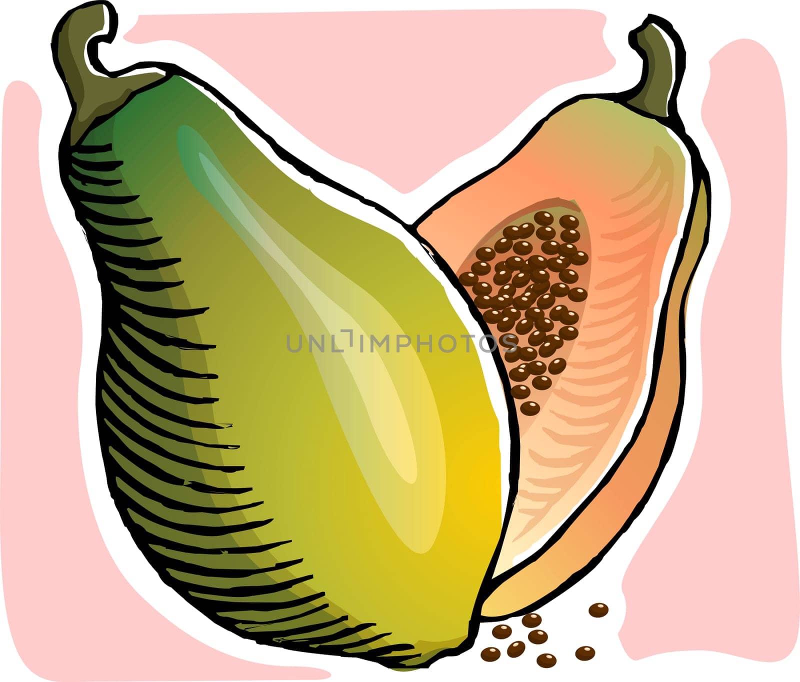 Papaya