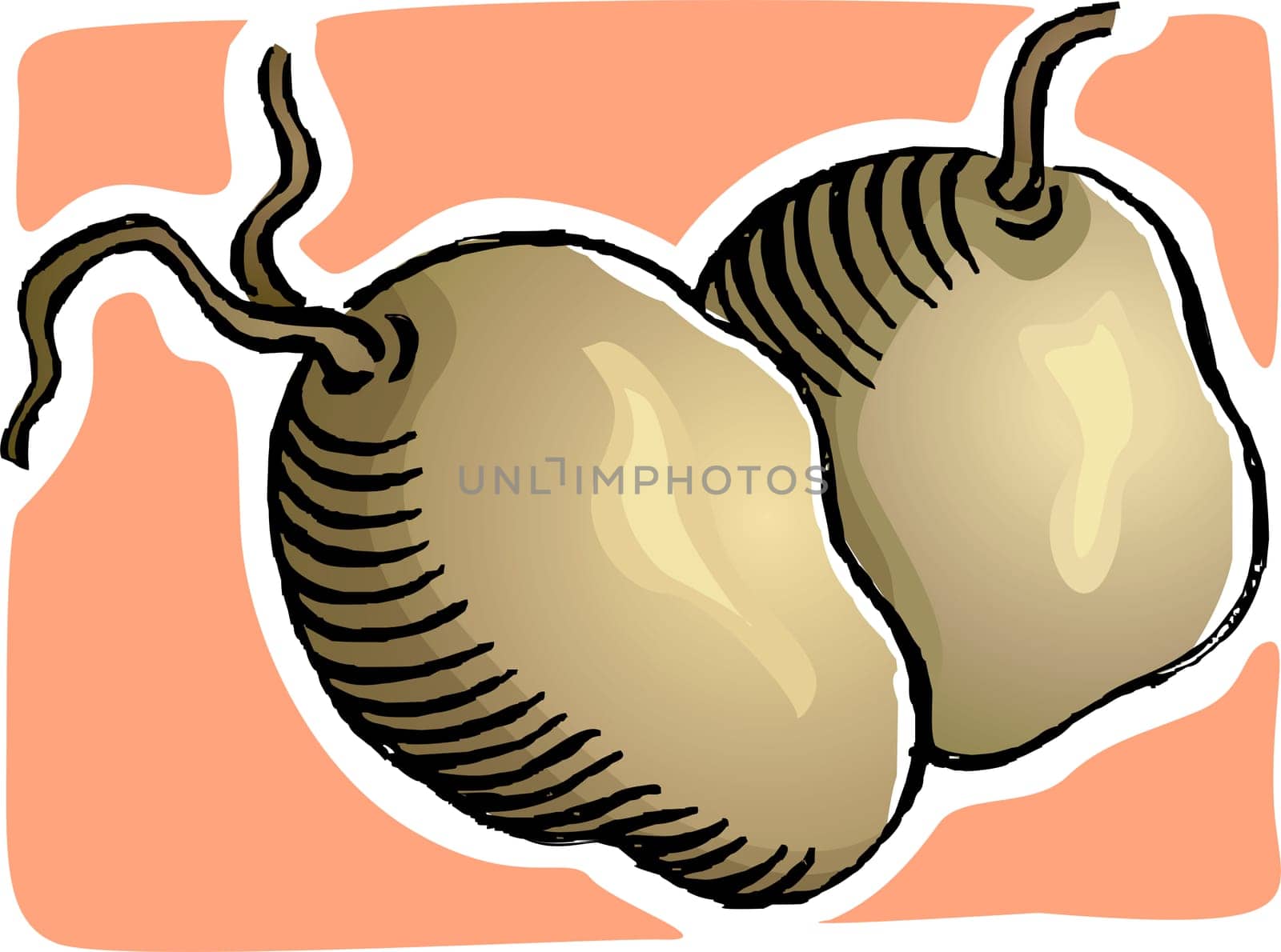 Potato