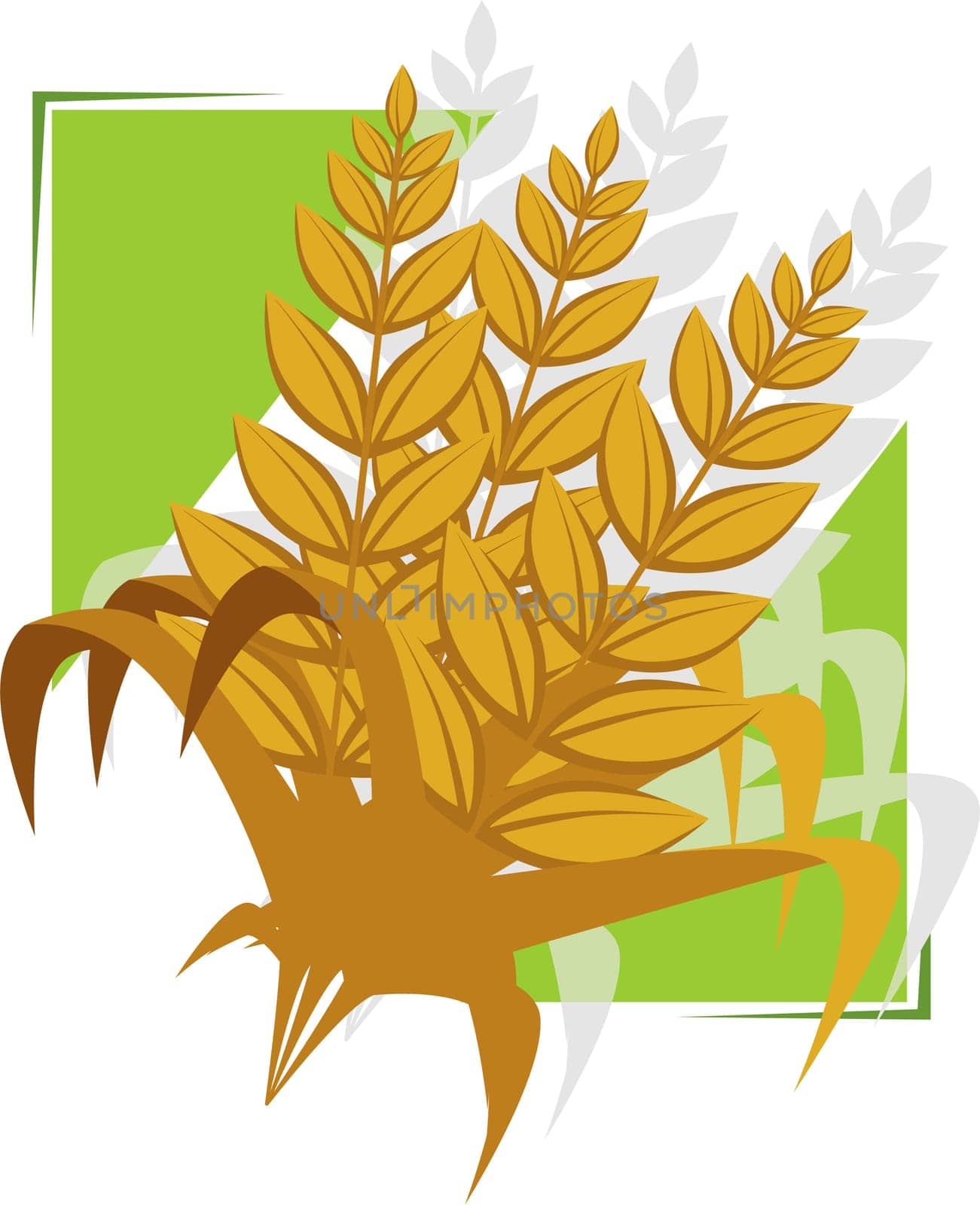 grain