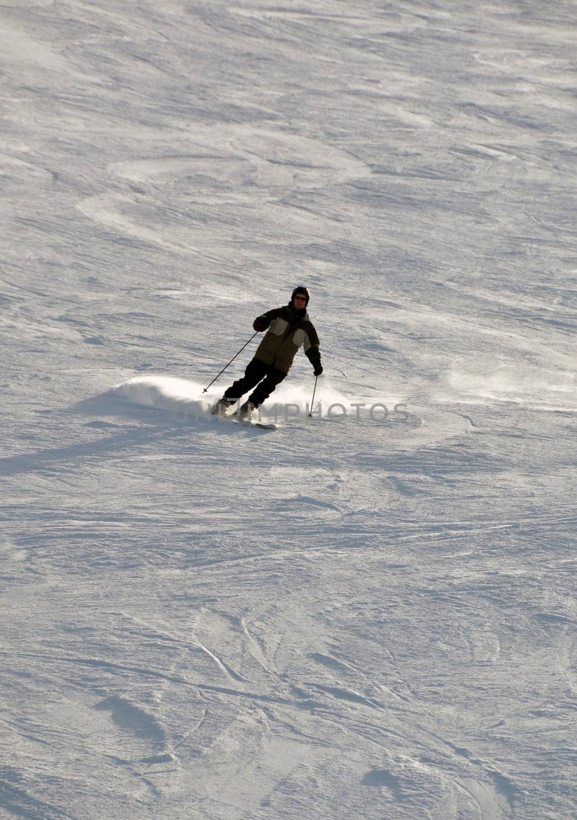 Skier in powder snow