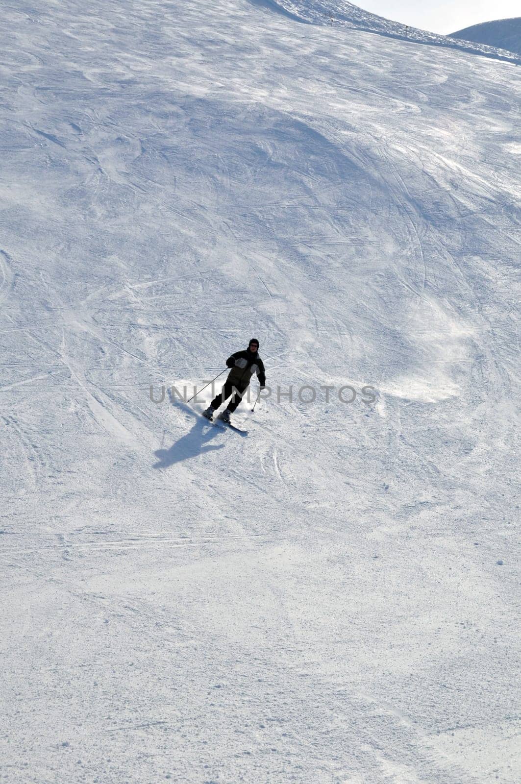 Skier in powder snow