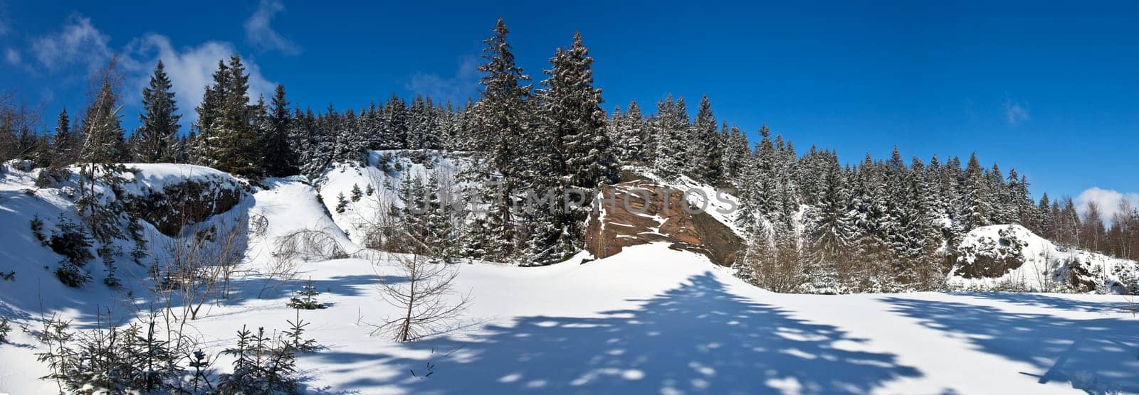 Winter in Thuringia