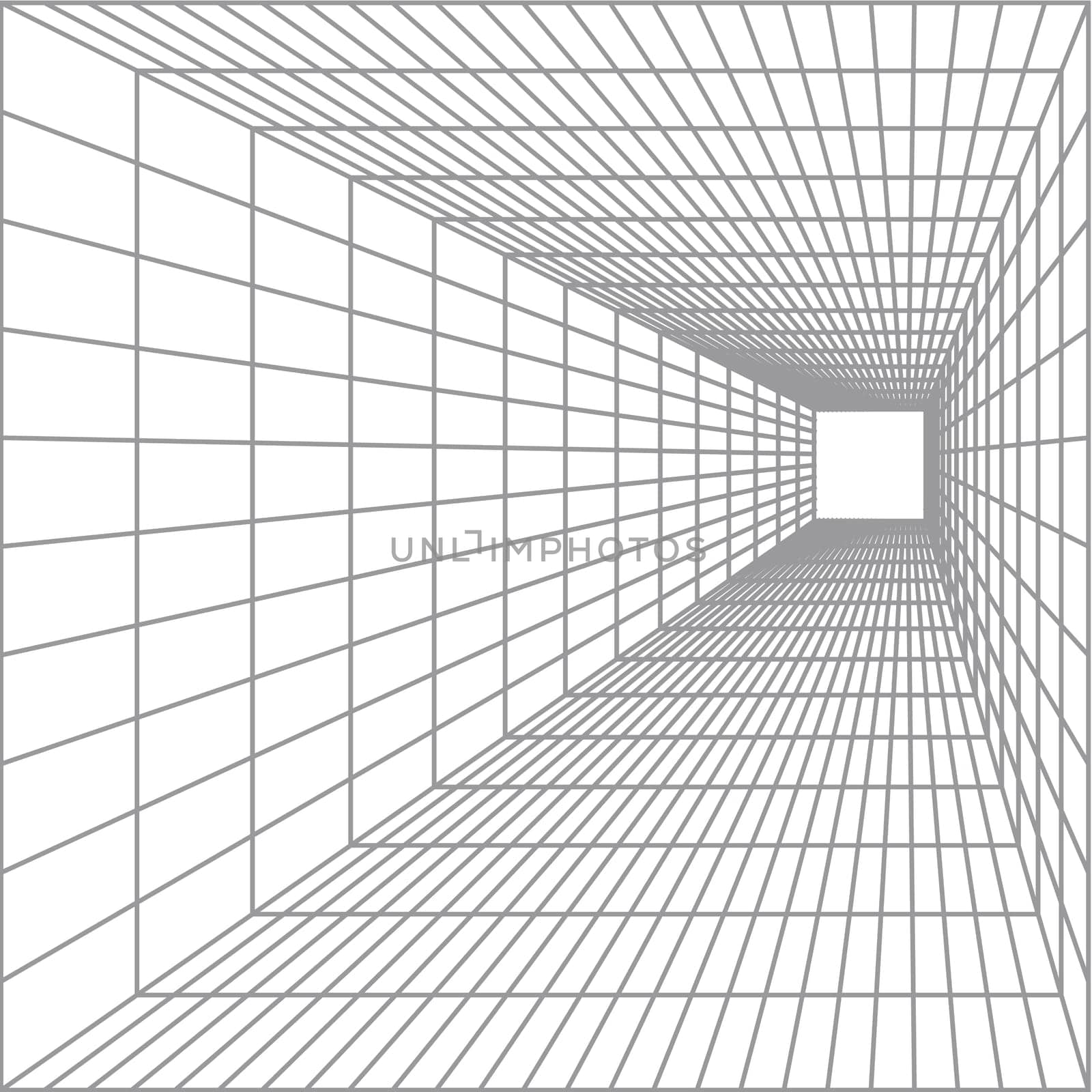Perspective