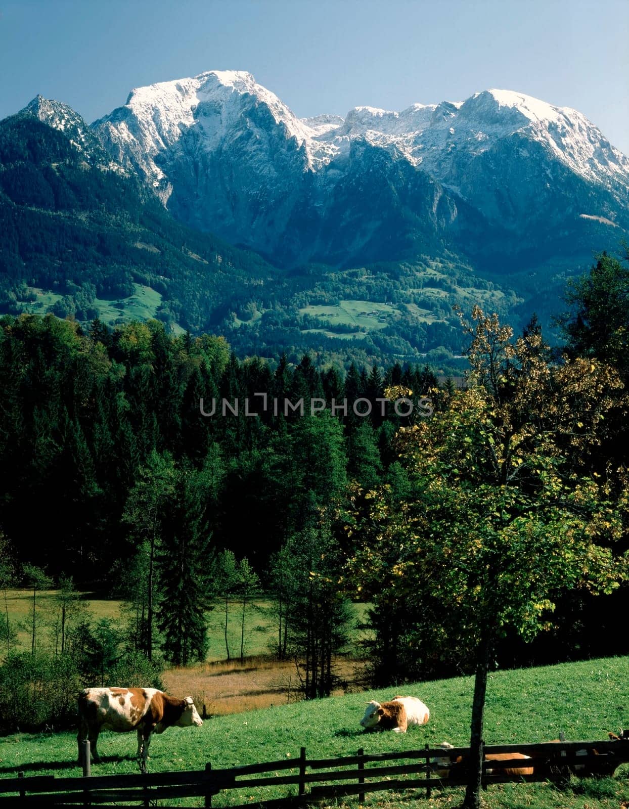 Bavarian Landscape
