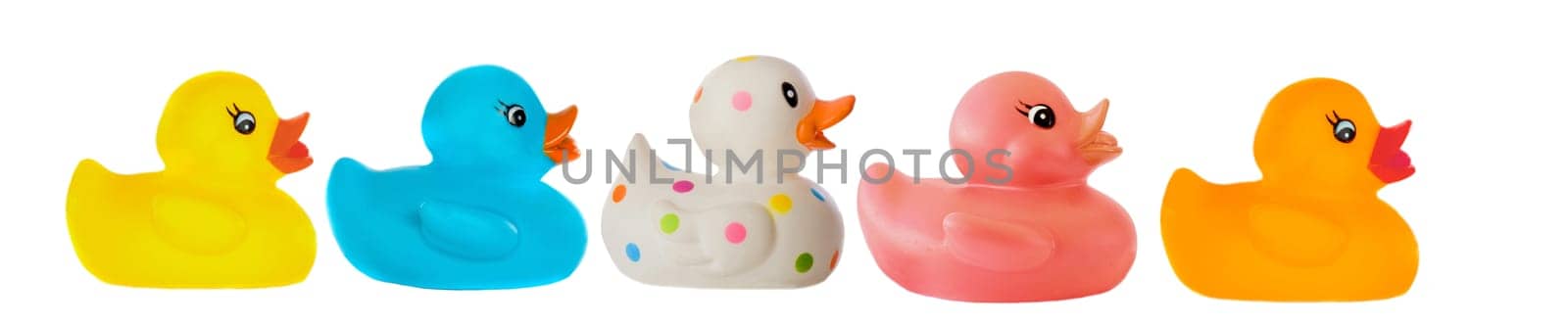 Many ducks toy of different colors