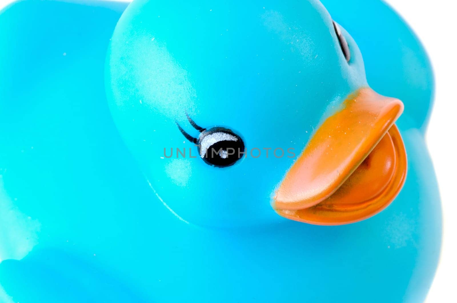 Blue plastic duck