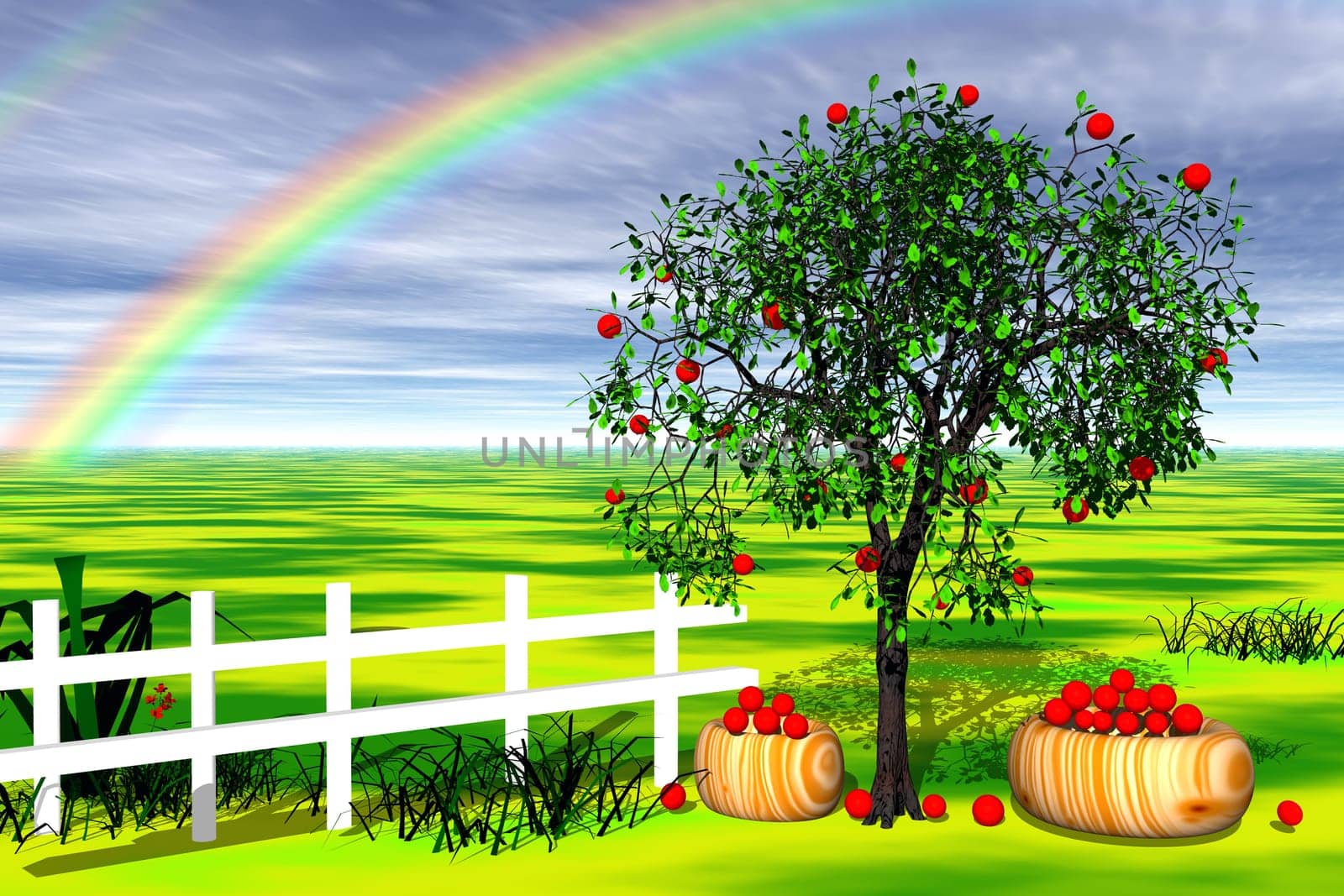 Apple tree
