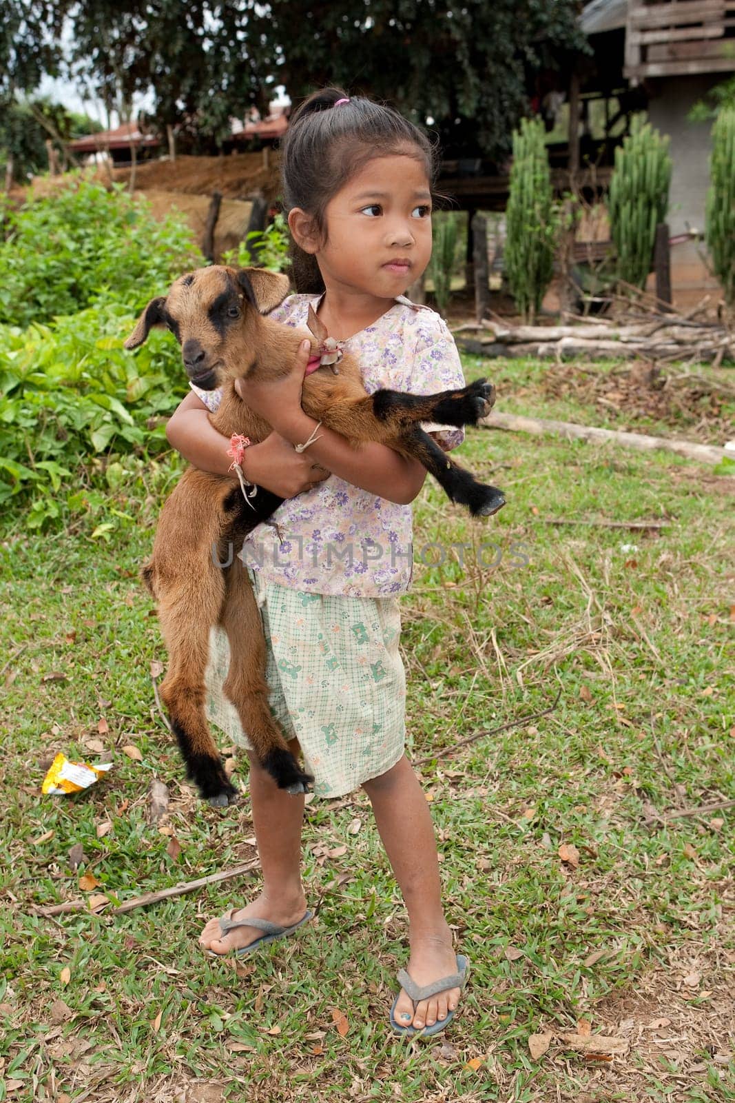 Asian girl with goat