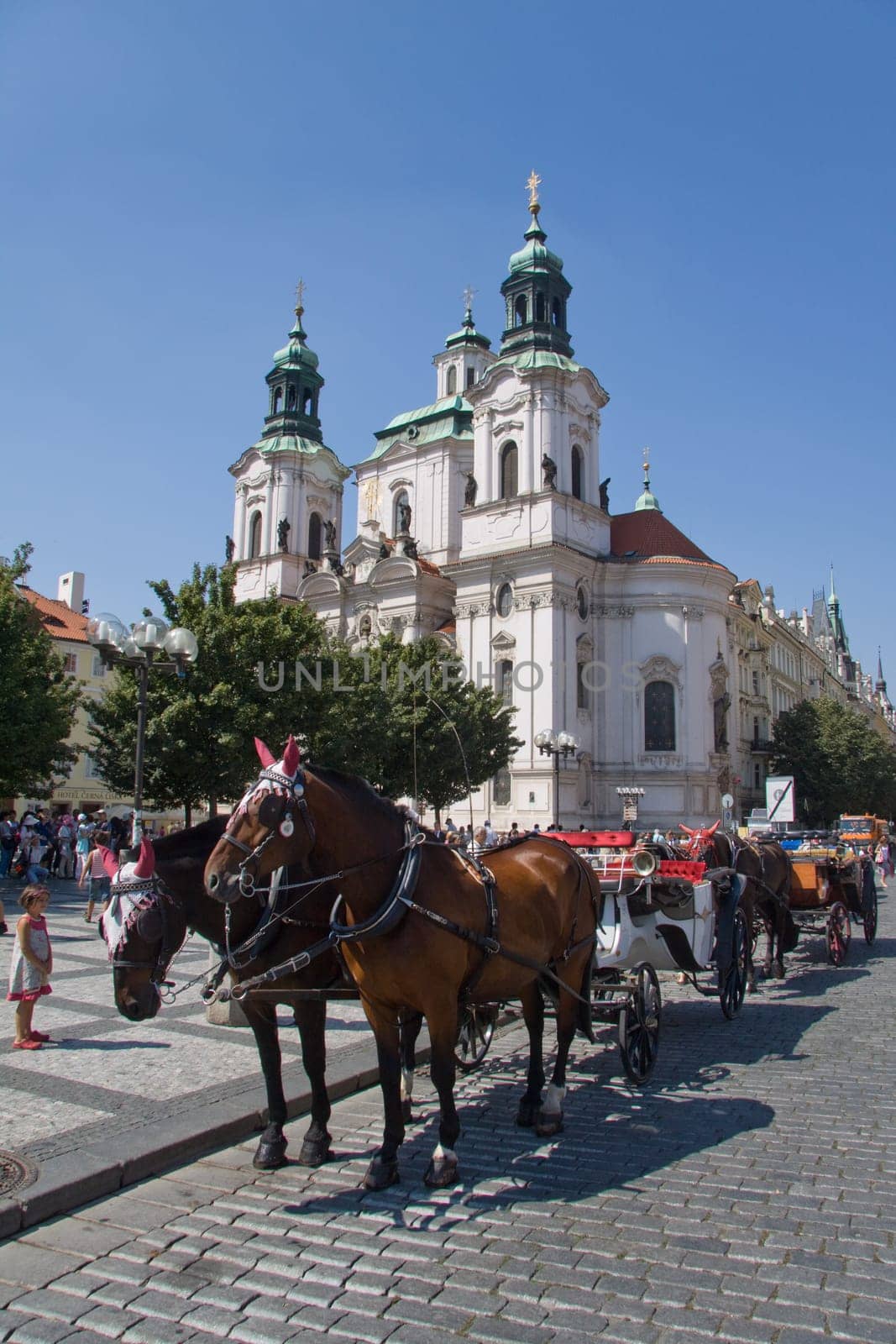 Horse-drawn carriage