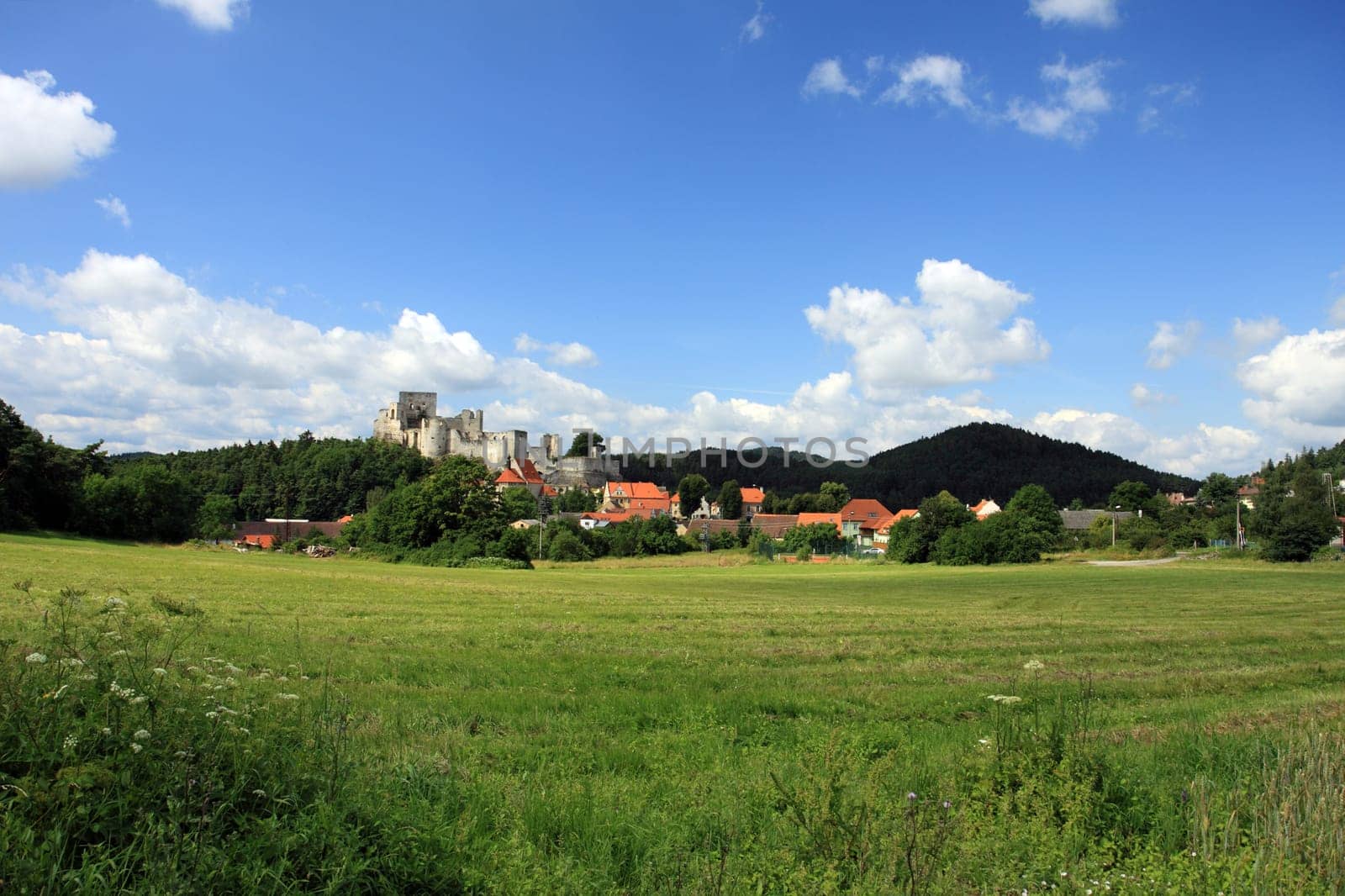 Czech Republic - Summer landscape with Medieval Castle Ruins Rabí