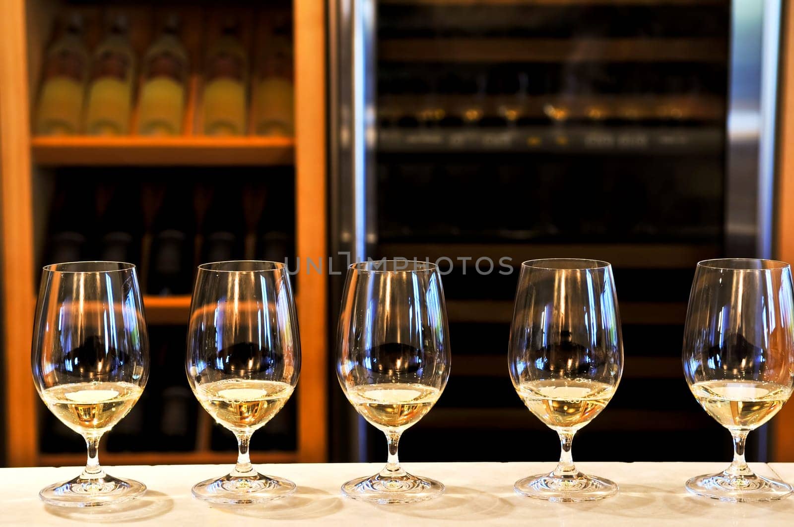 Wine tasting glasses